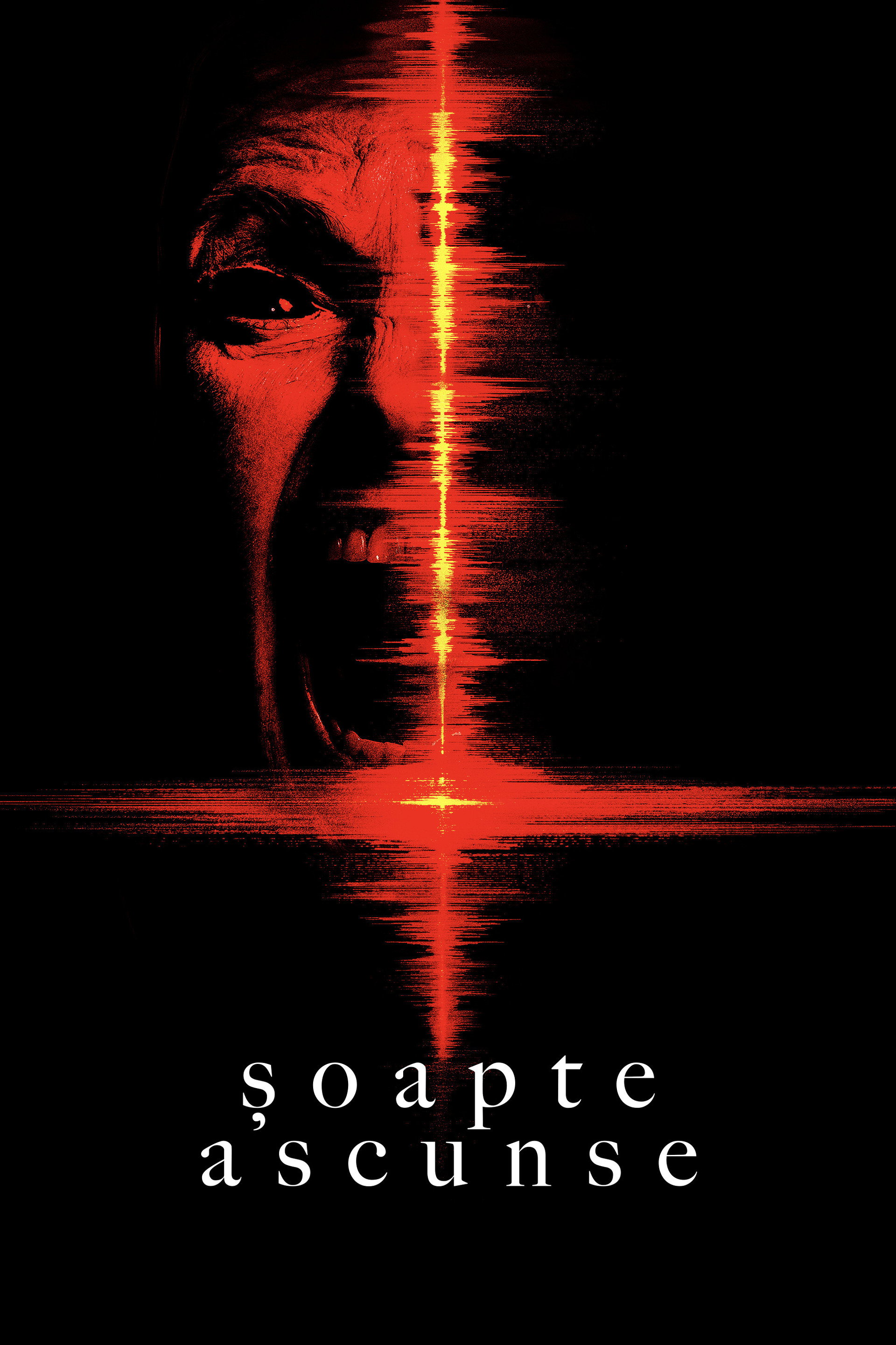 Șoapte ascunse