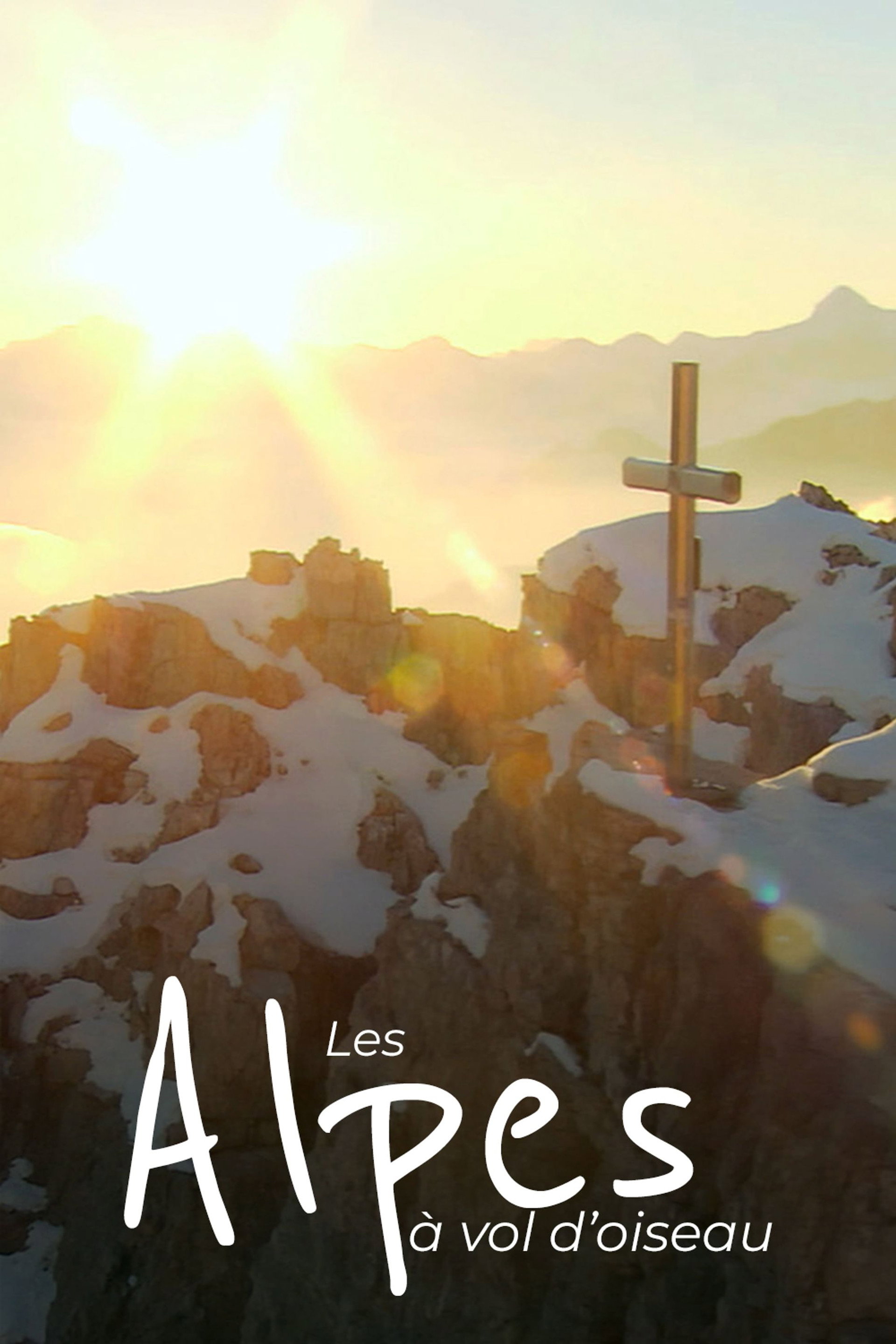 Les Alpes à vol d'oiseau