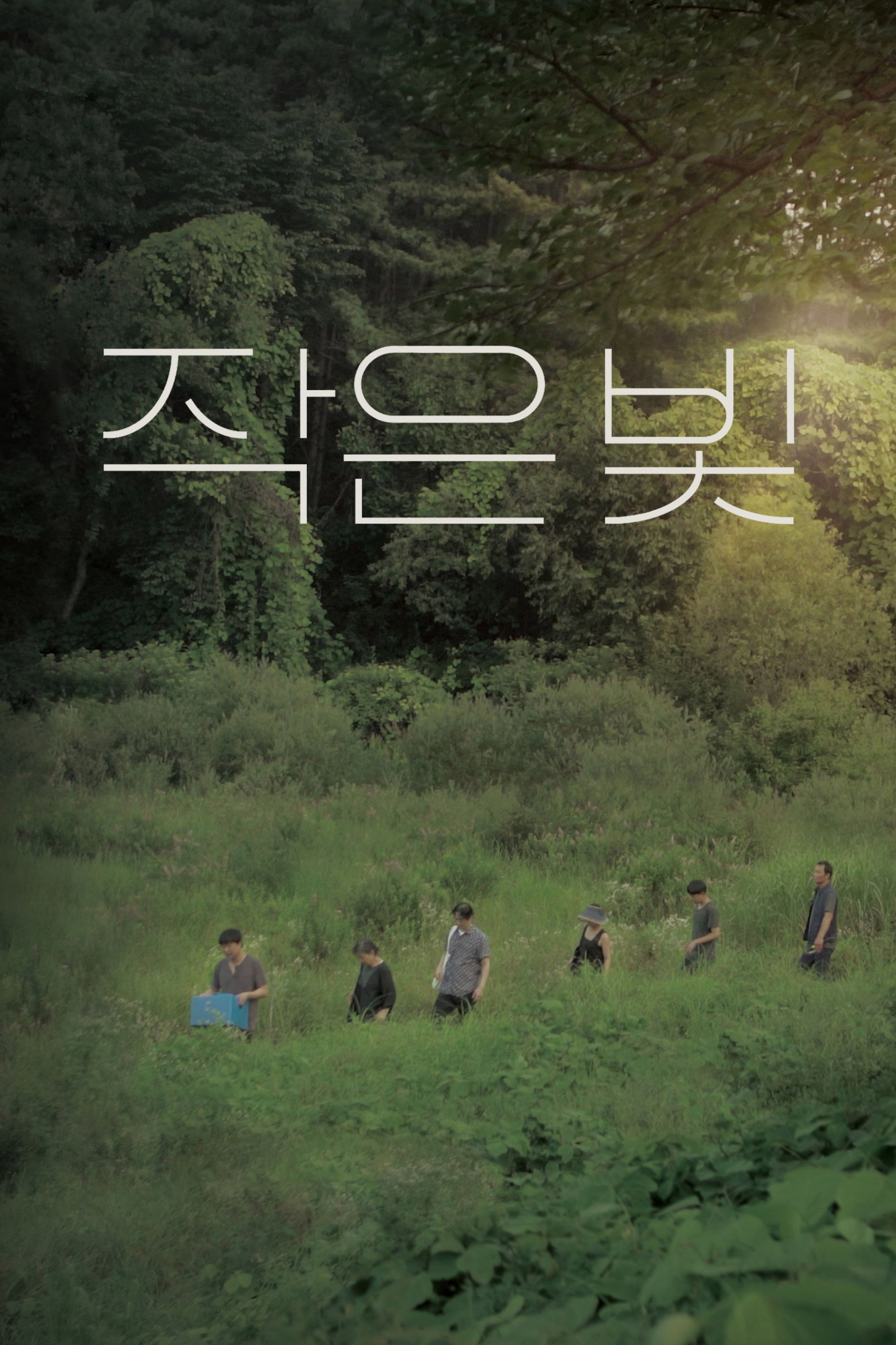 작은 빛