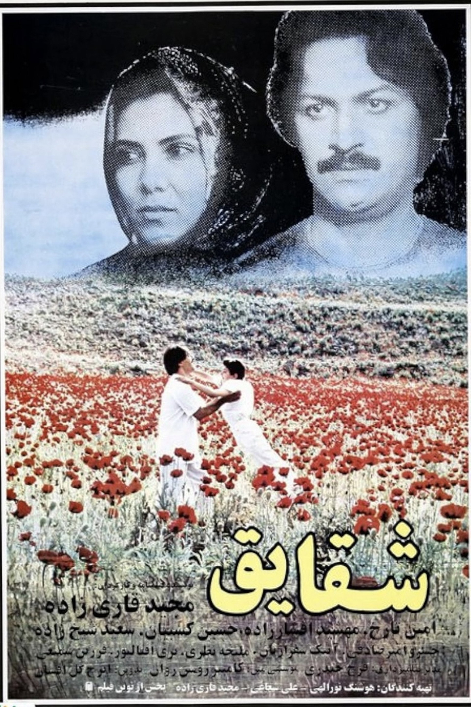شقایق
