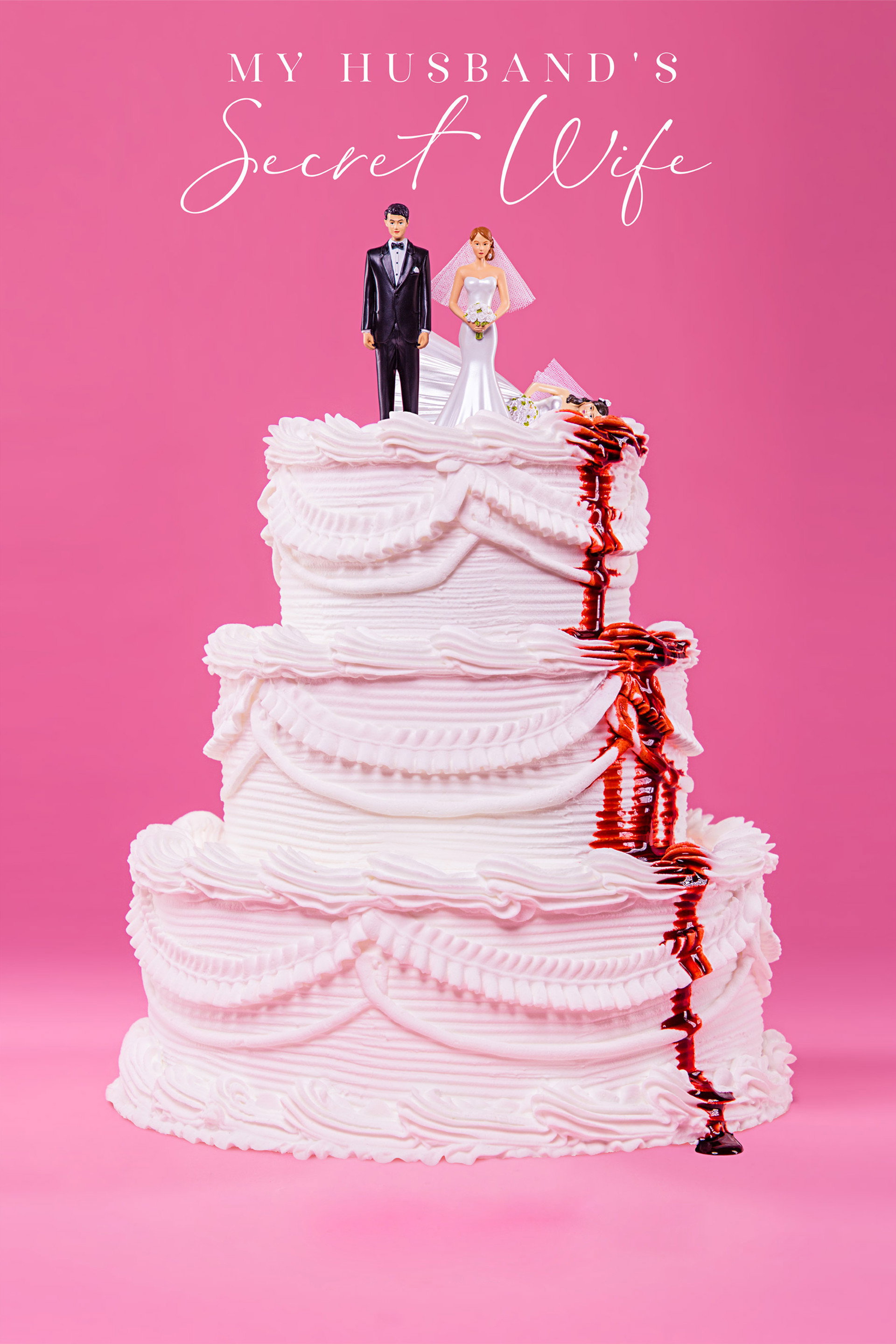 A Esposa Secreta do Meu Marido
