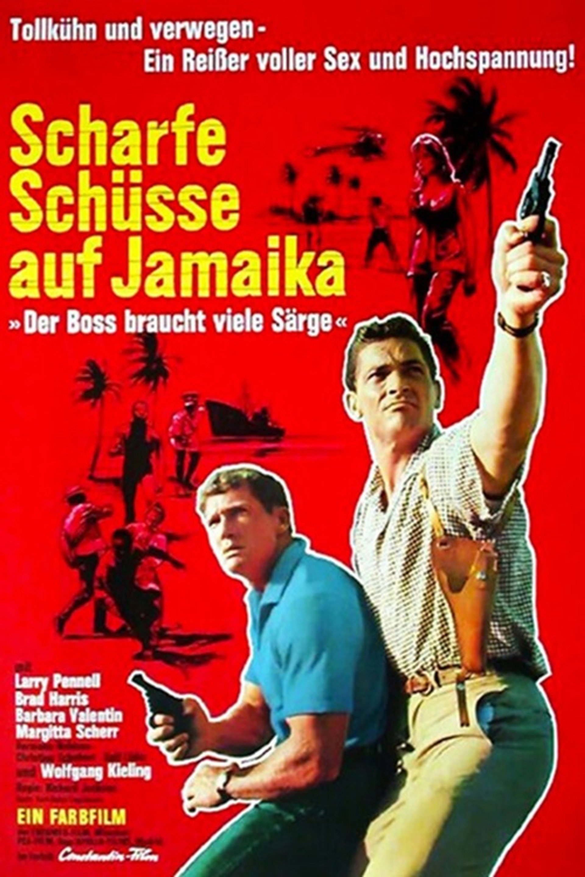Scharfe Schüsse auf Jamaika