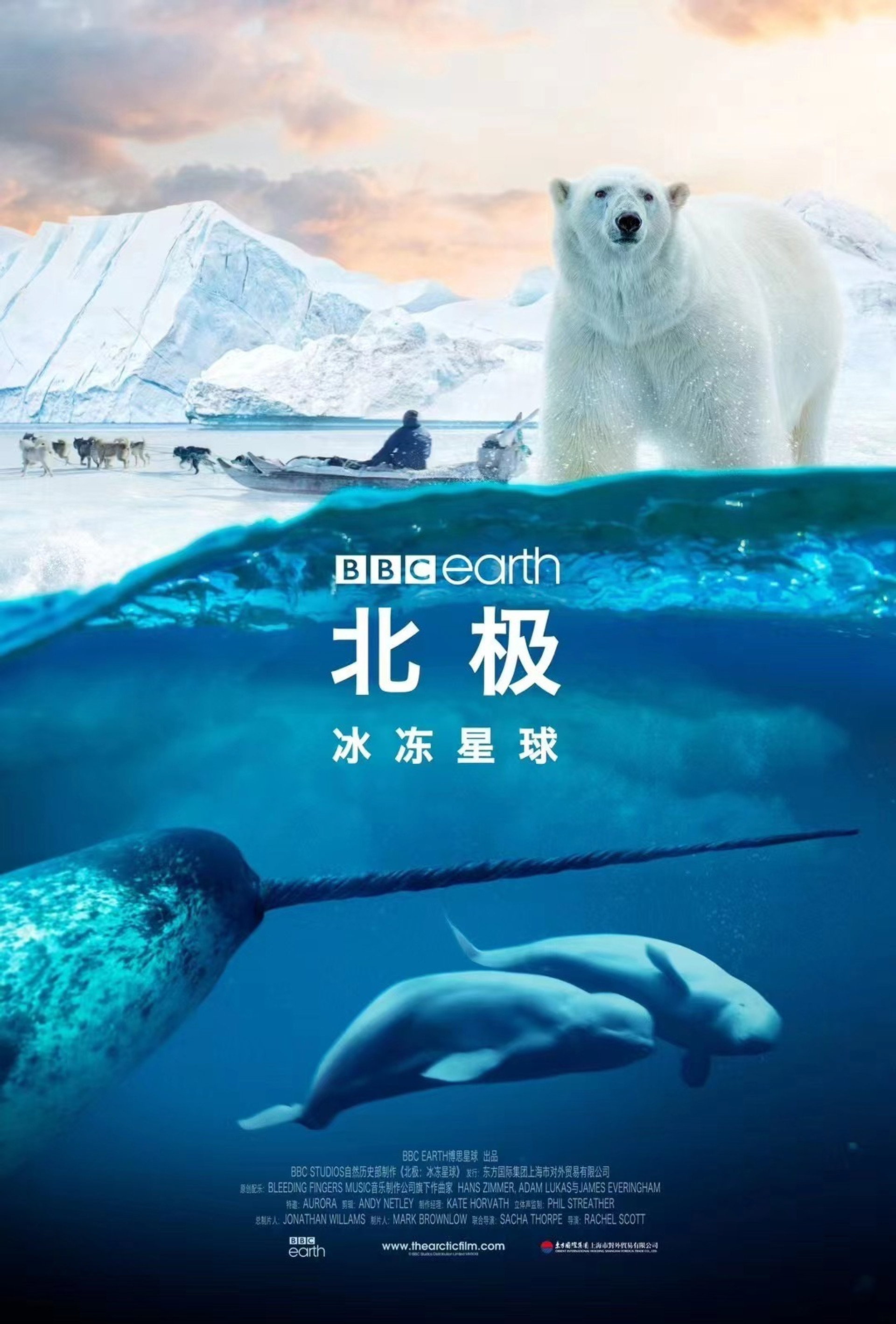 北极：冰冻星球