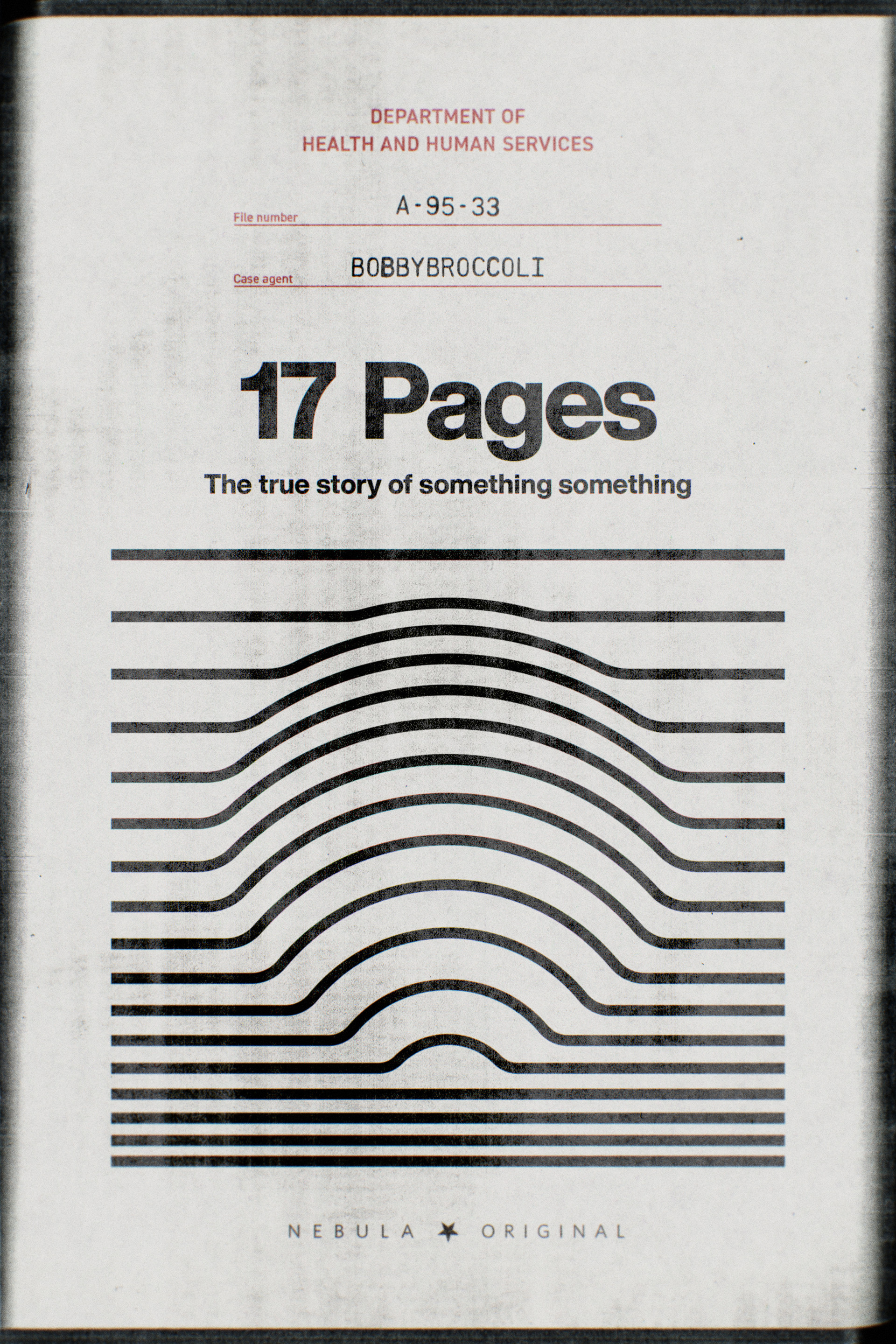 17 Pages