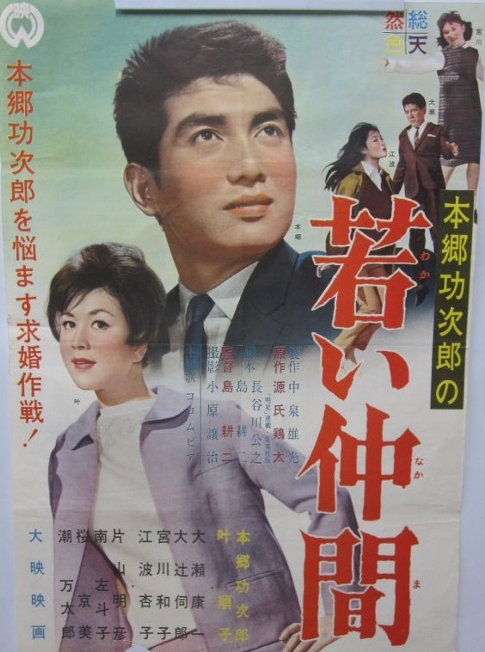 若い仲間