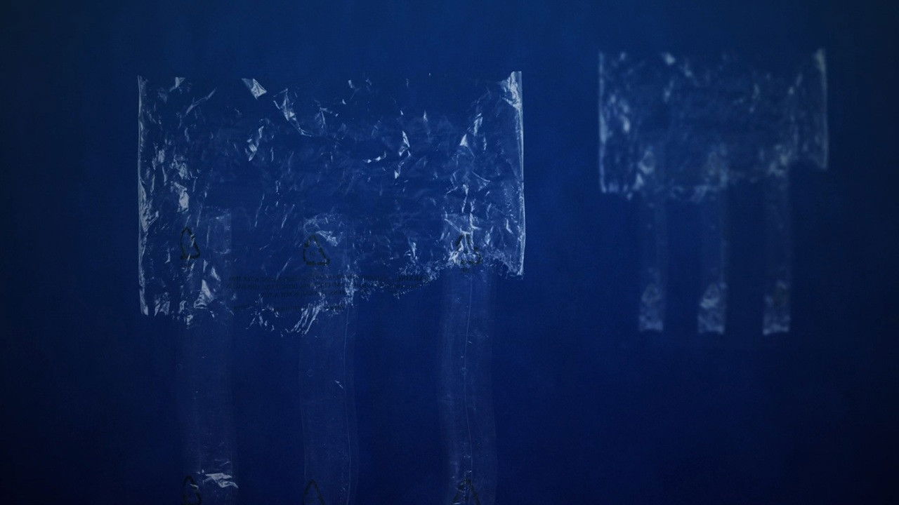 The Skoupidozoic Era