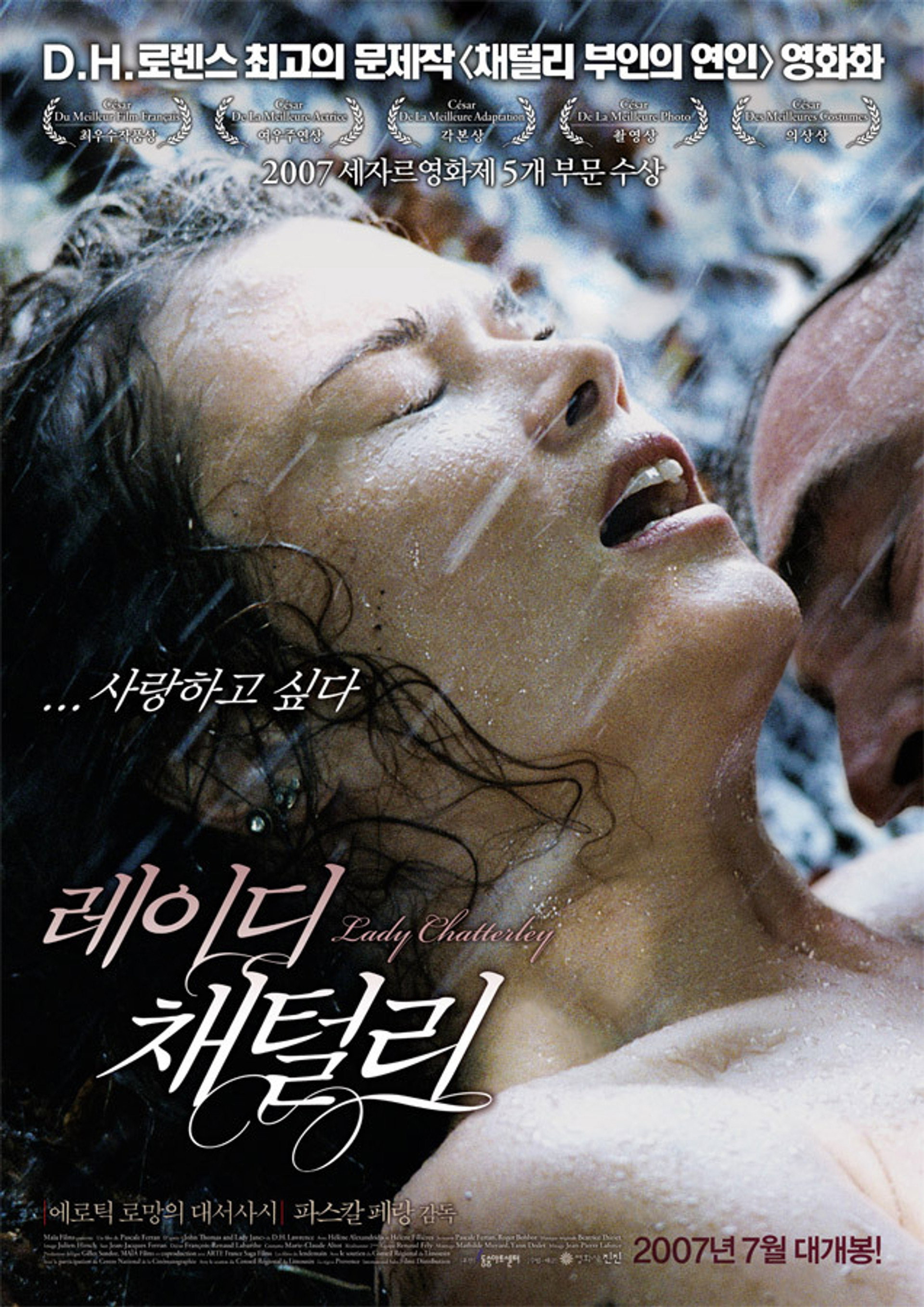 레이디 채털리