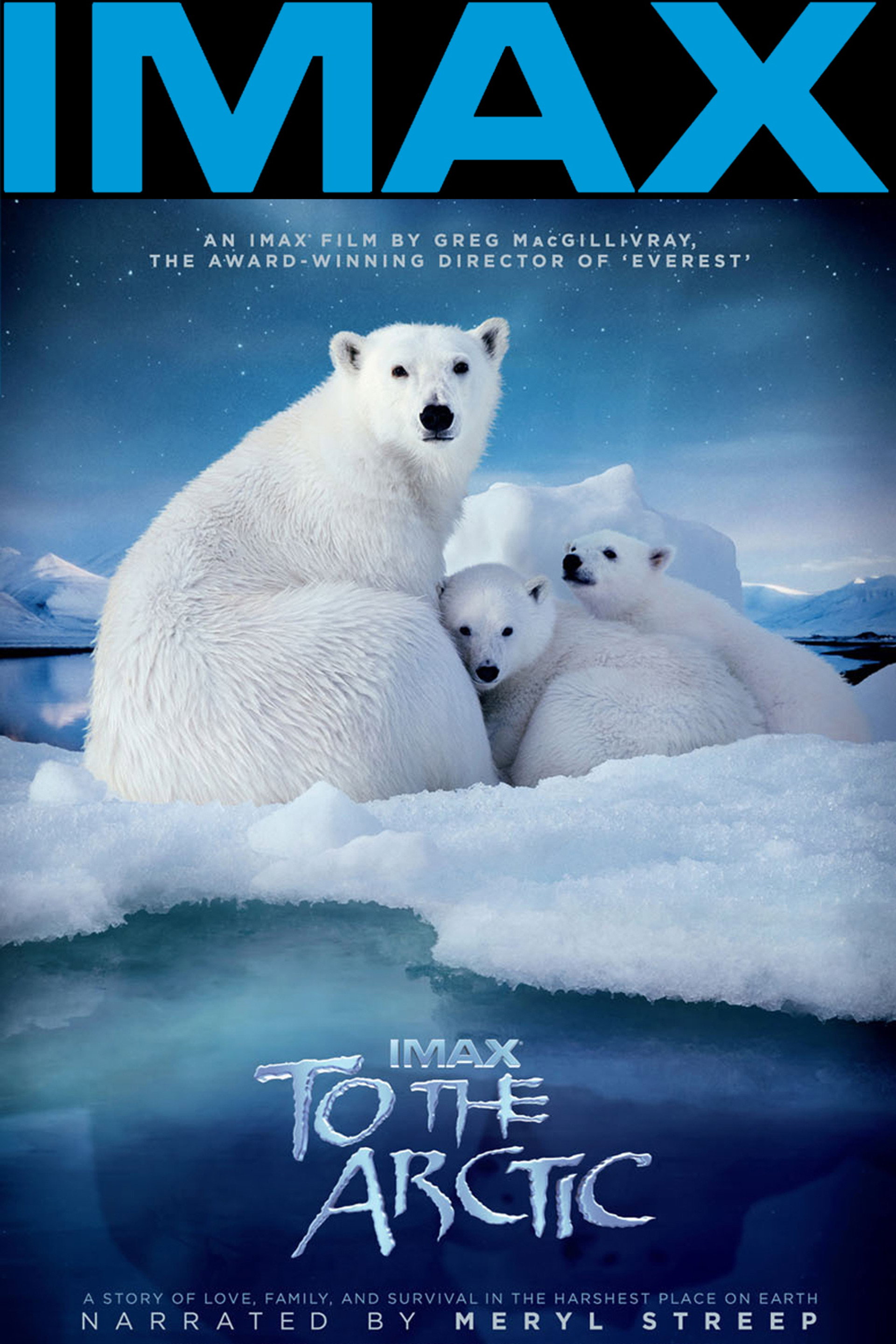 To the Arctic 3D