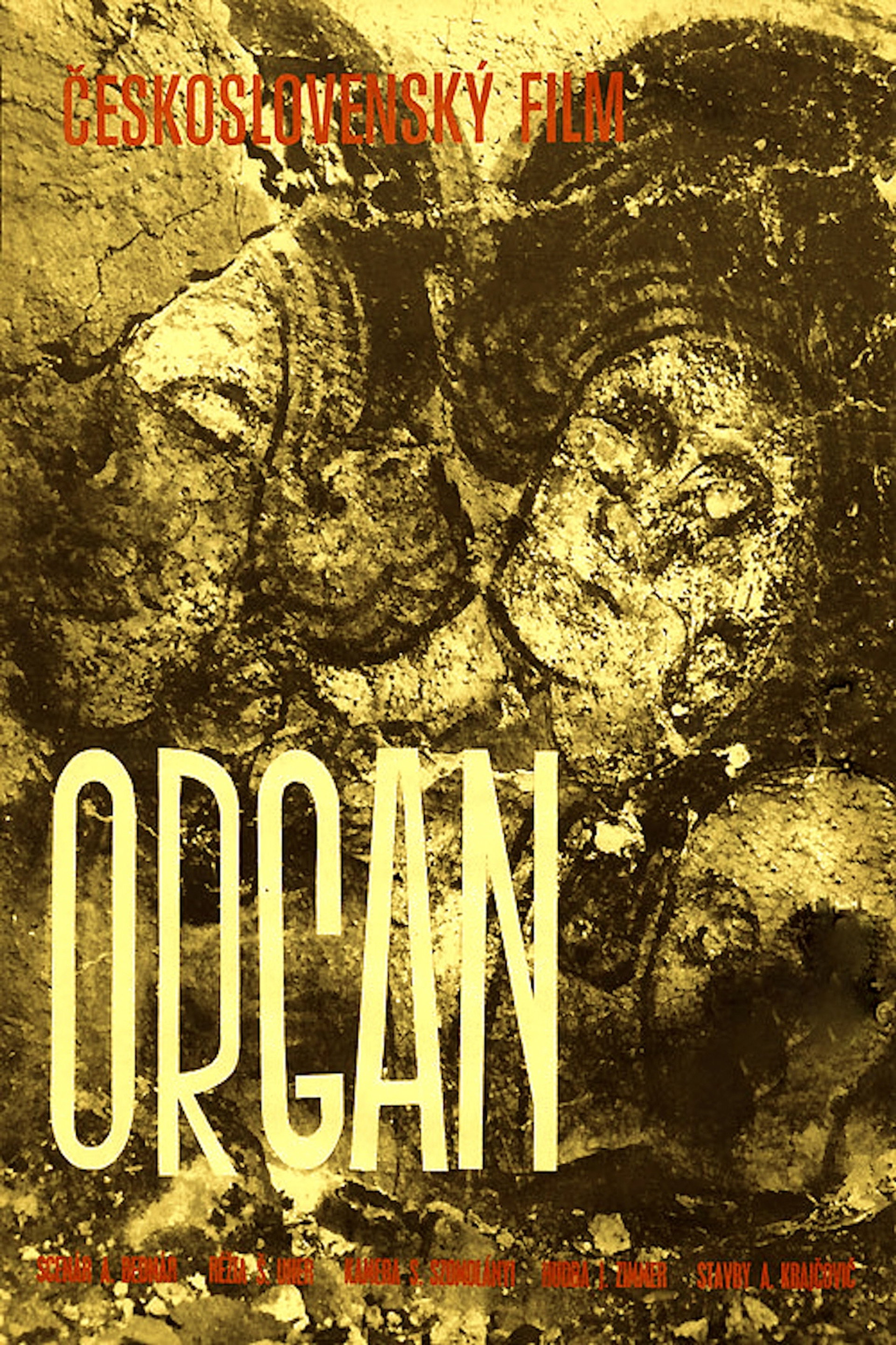 Organ