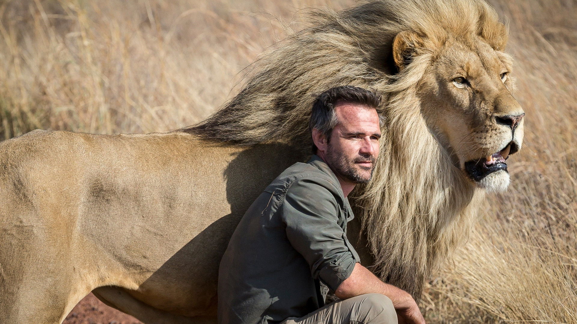 El amigo de los leones