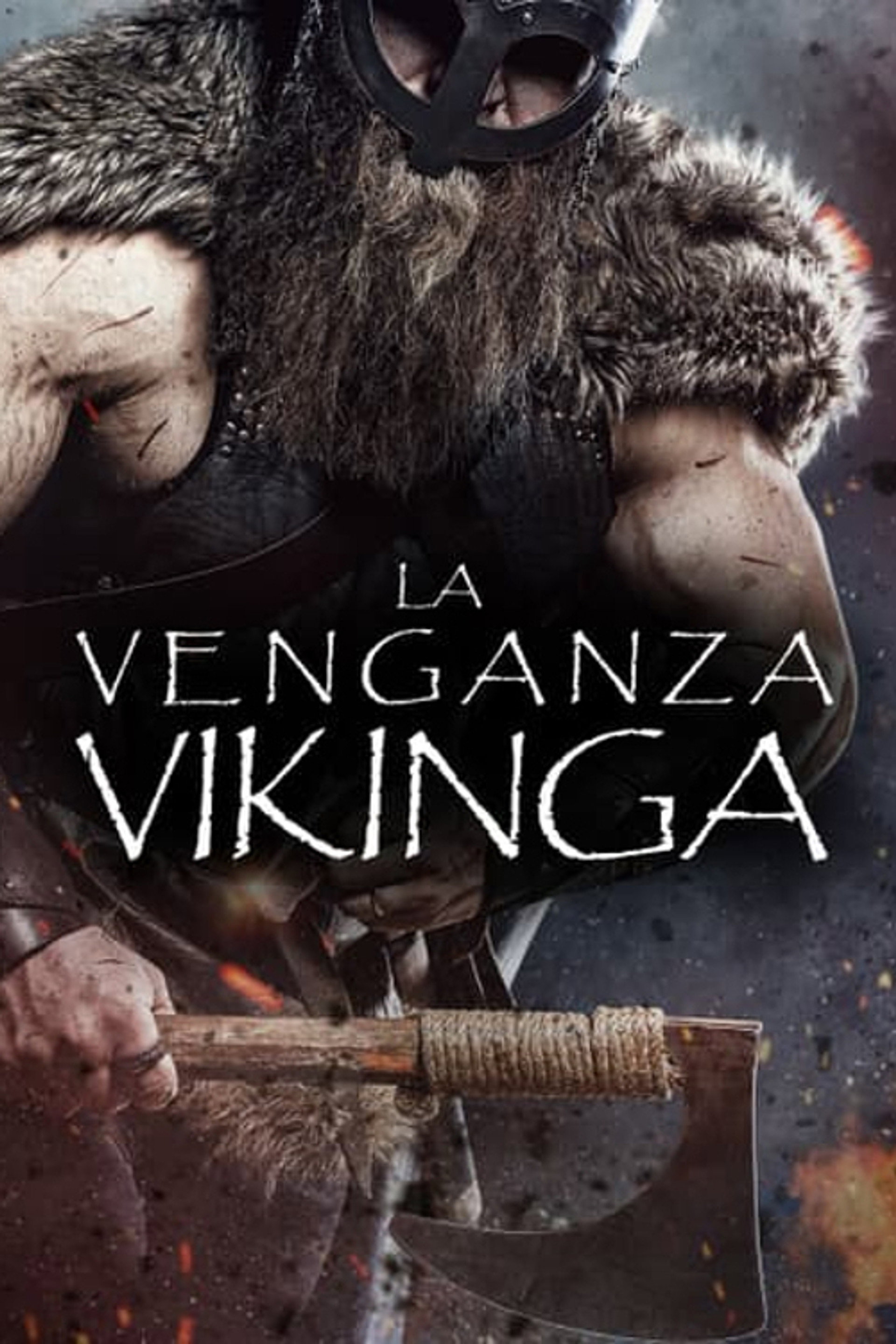 The Viking Revenge
