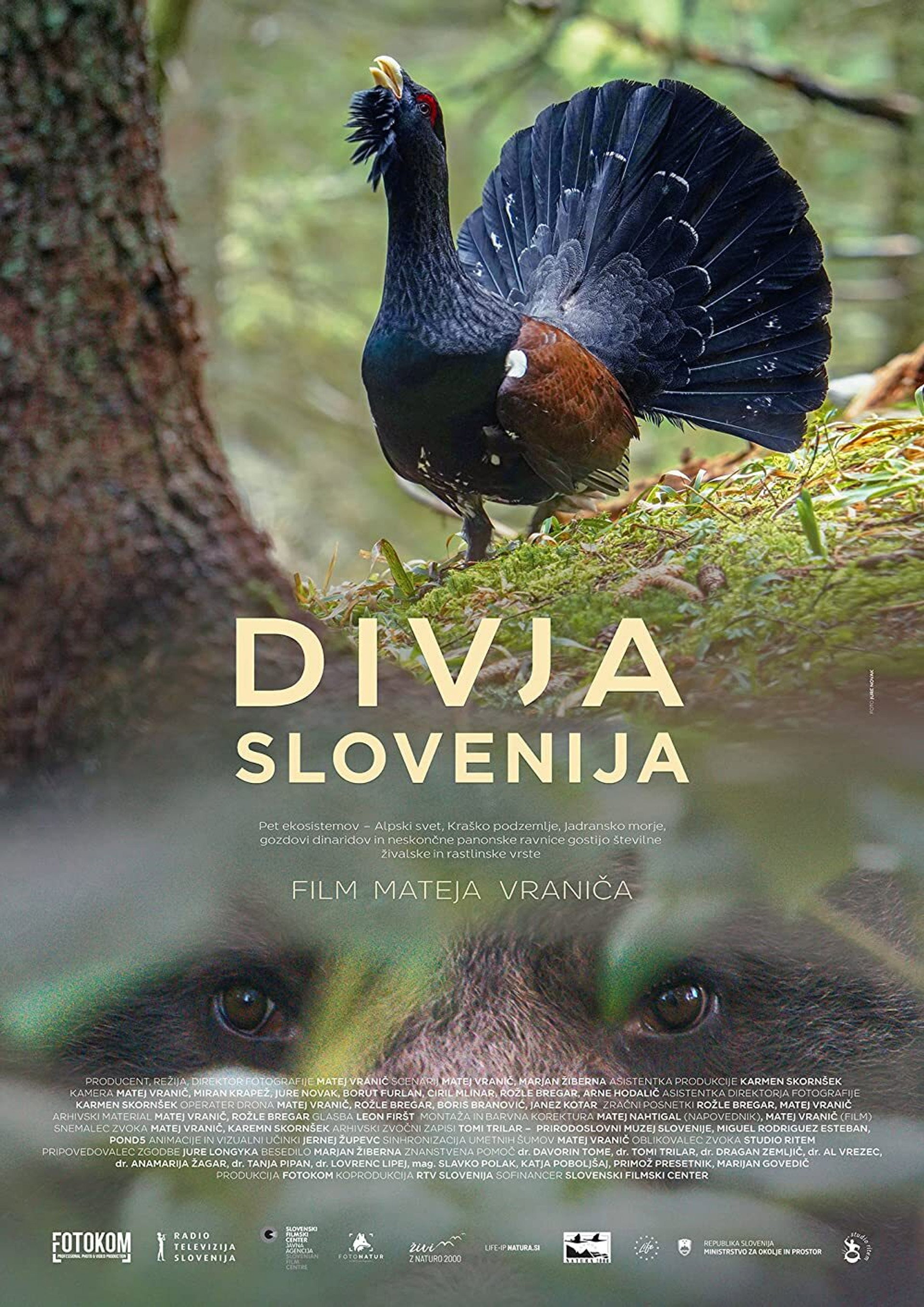 Eslovenia salvaje