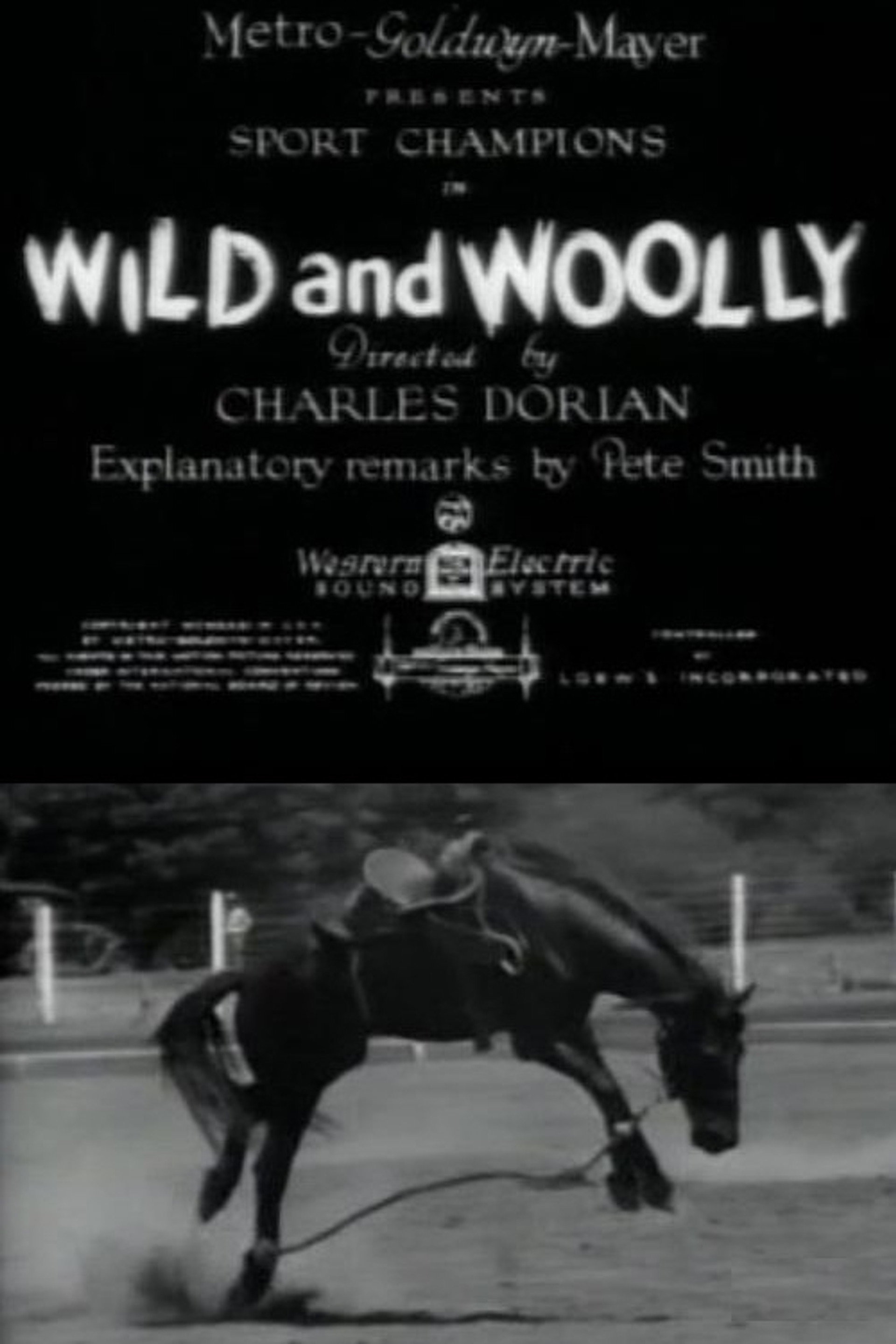 Wild and Woolly