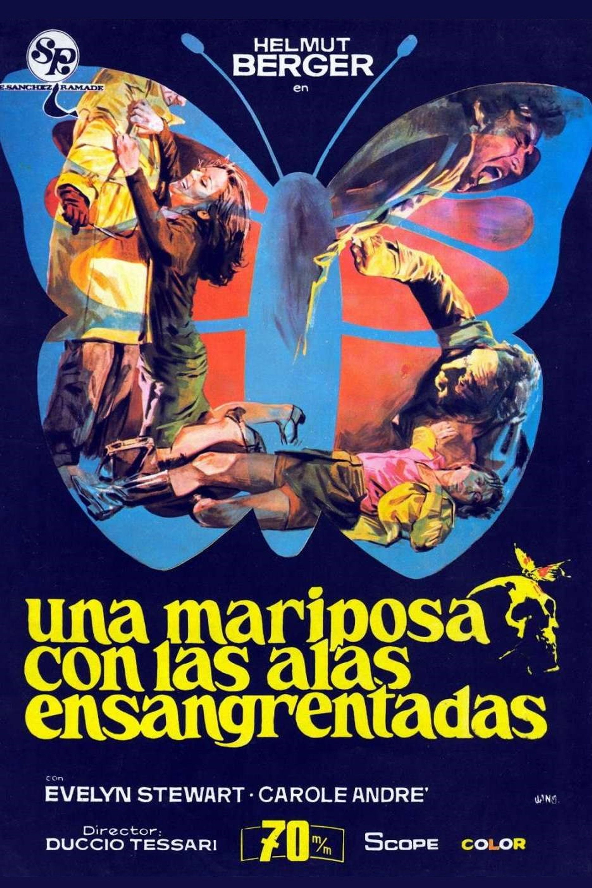 Una mariposa con las alas ensangrentadas