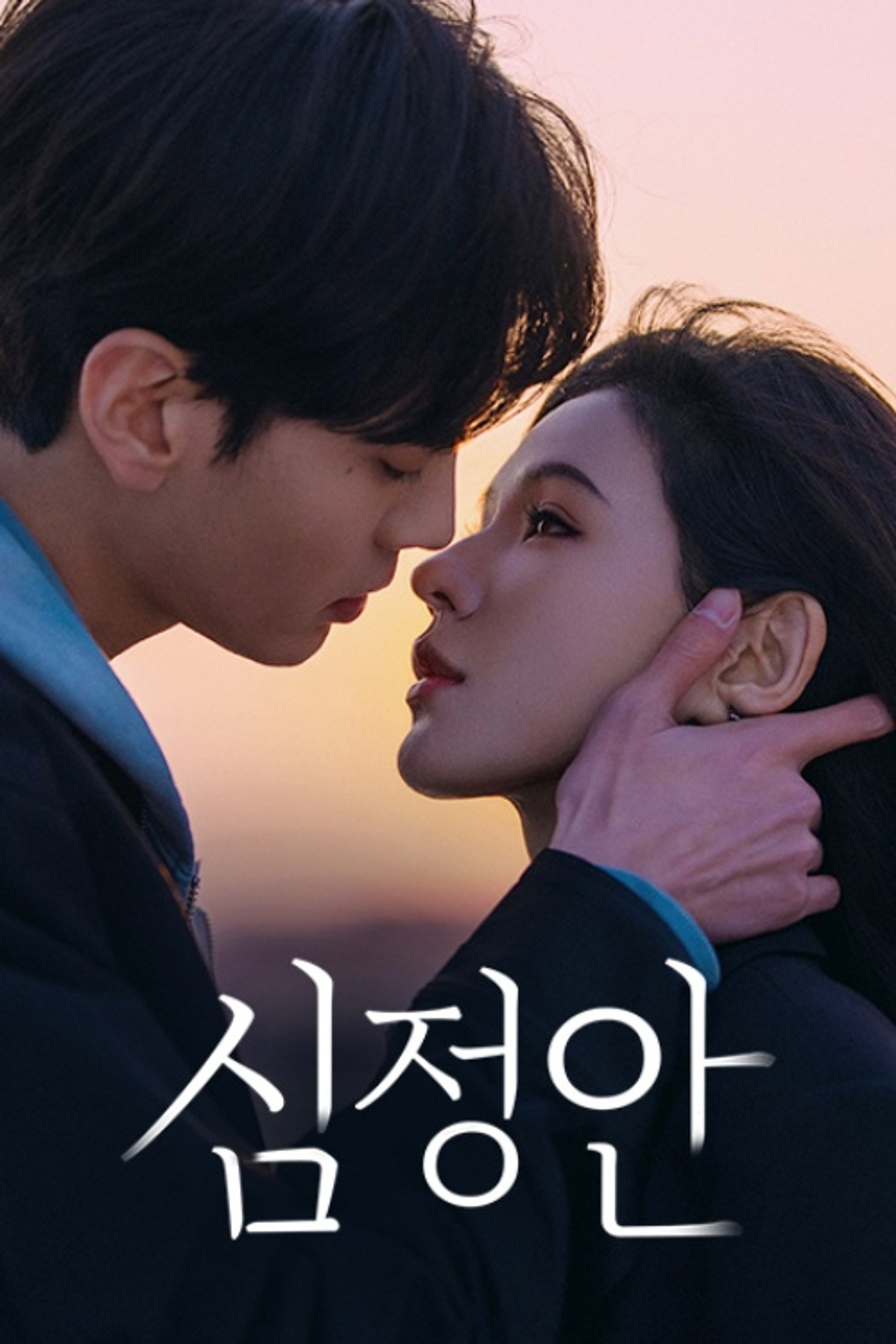 심정안