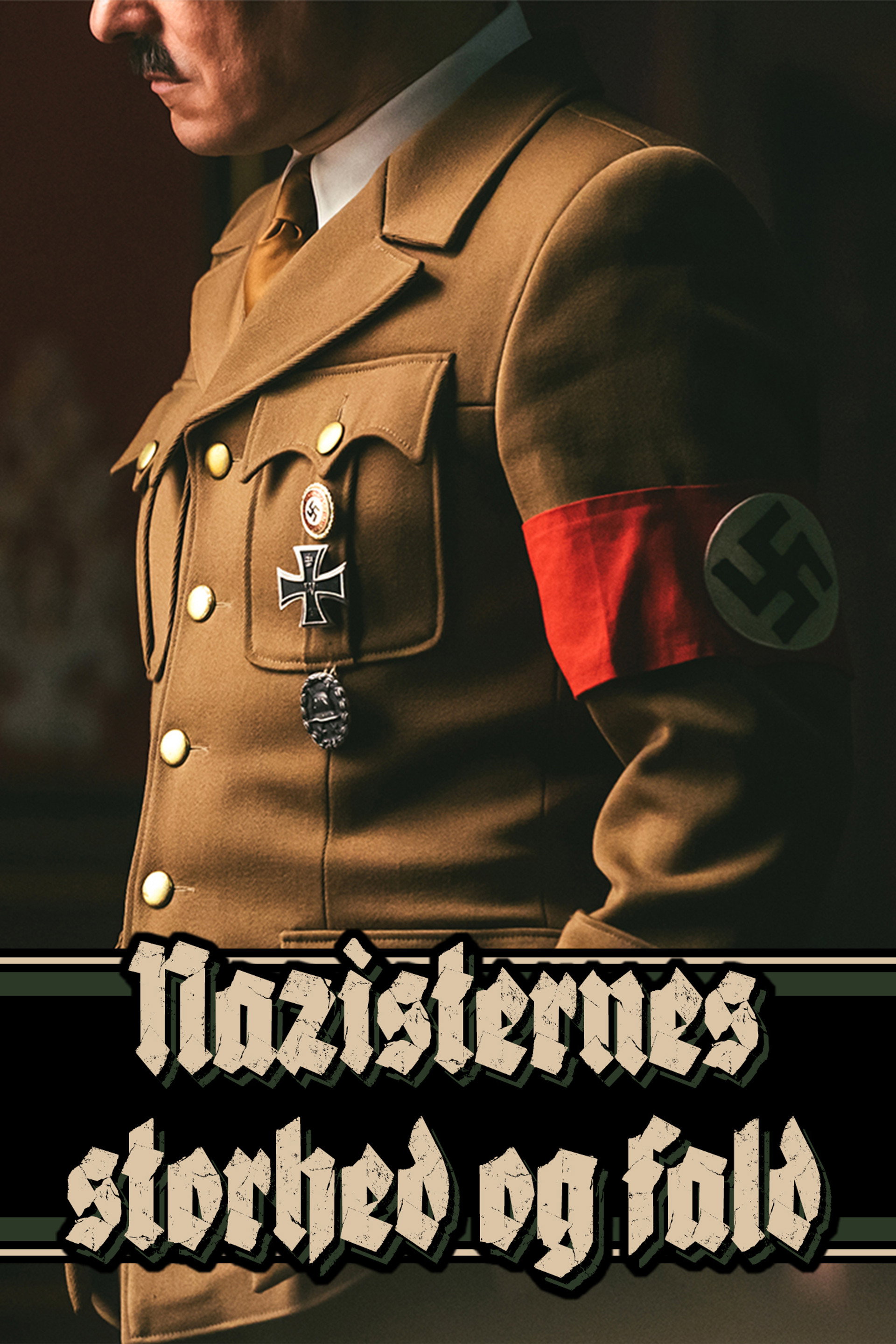 Nazisternes vej til magten