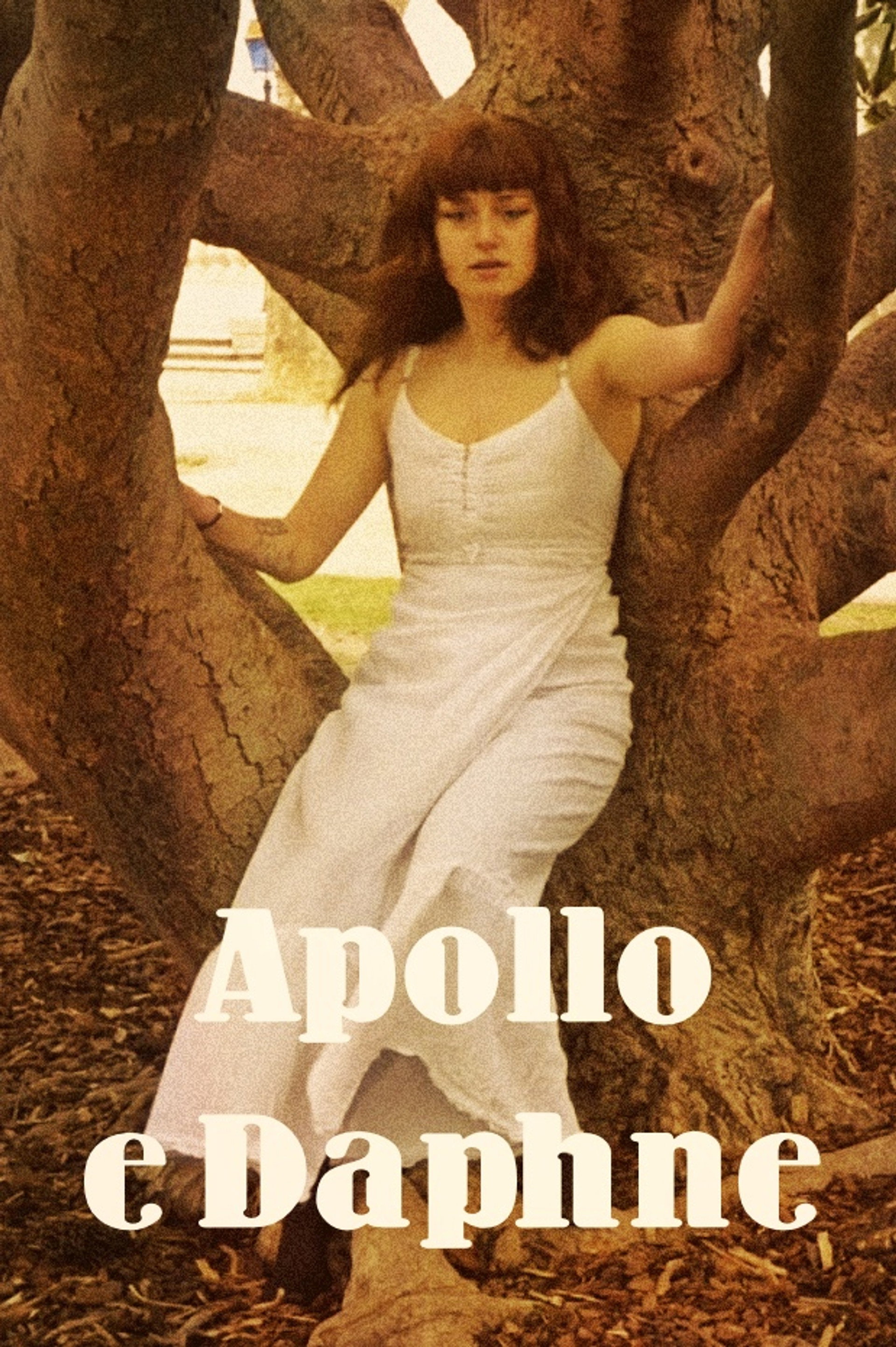 Apollo e Daphne