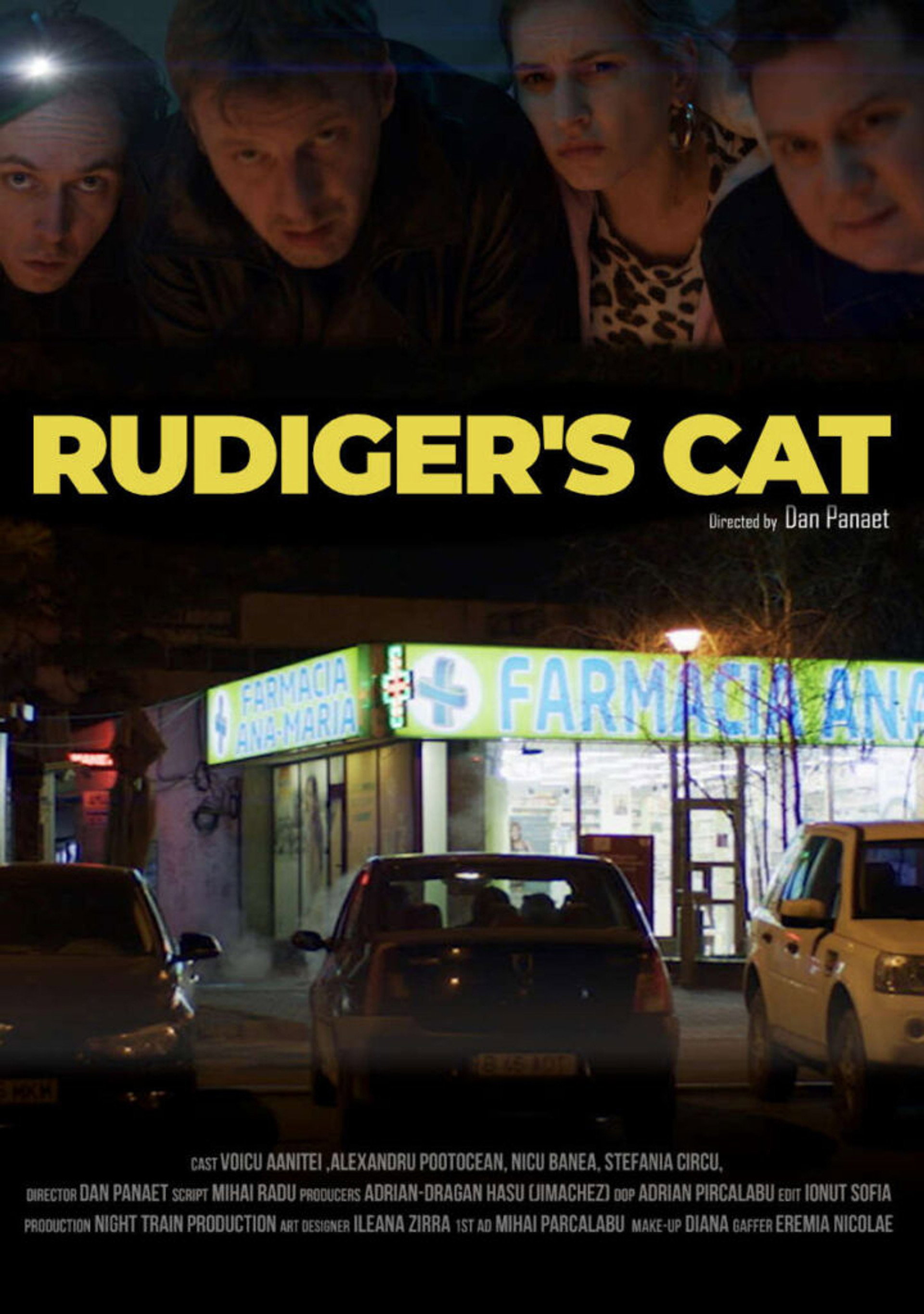 Pisica lui Rudiger