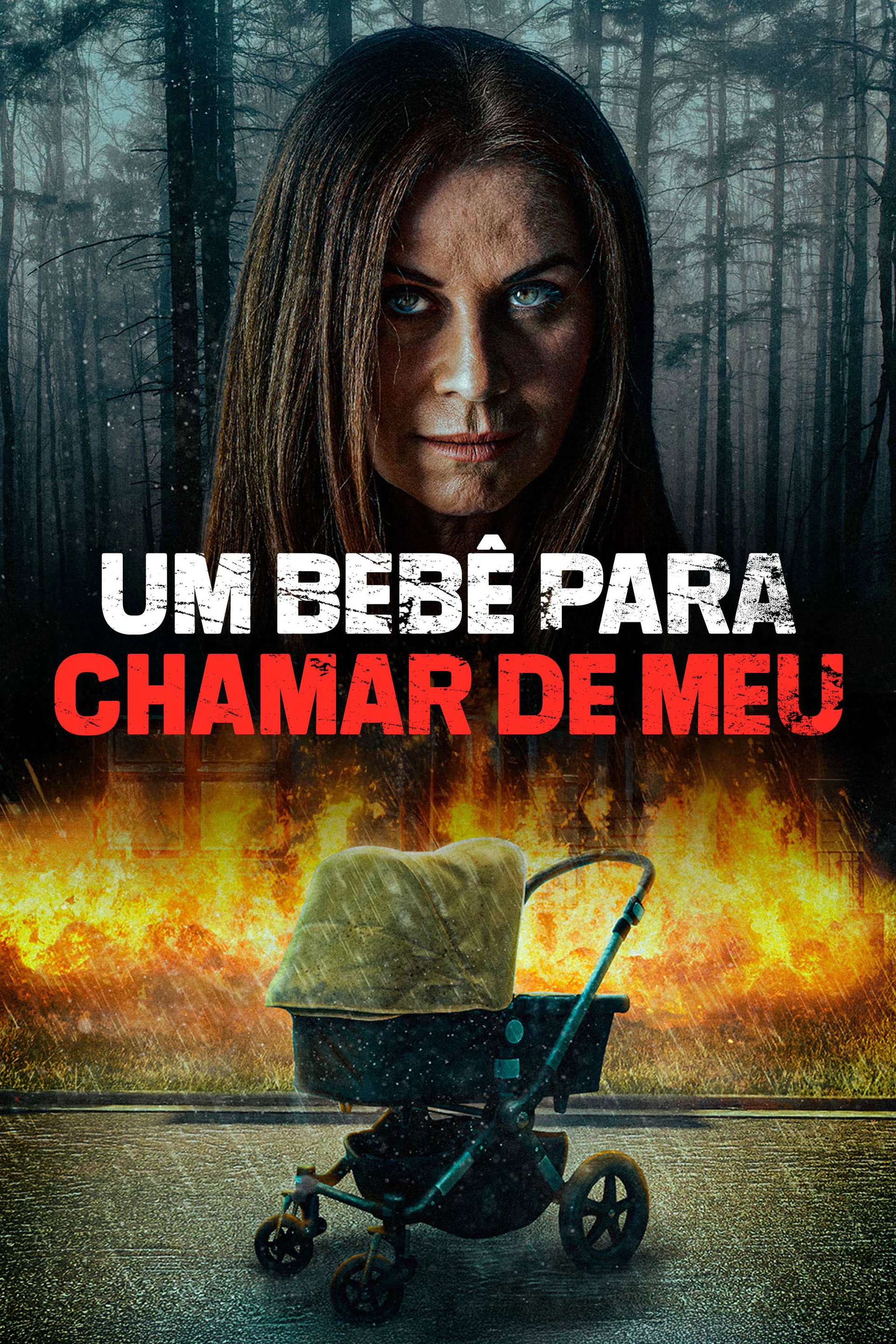 Um Bebê Para Chamar de Meu
