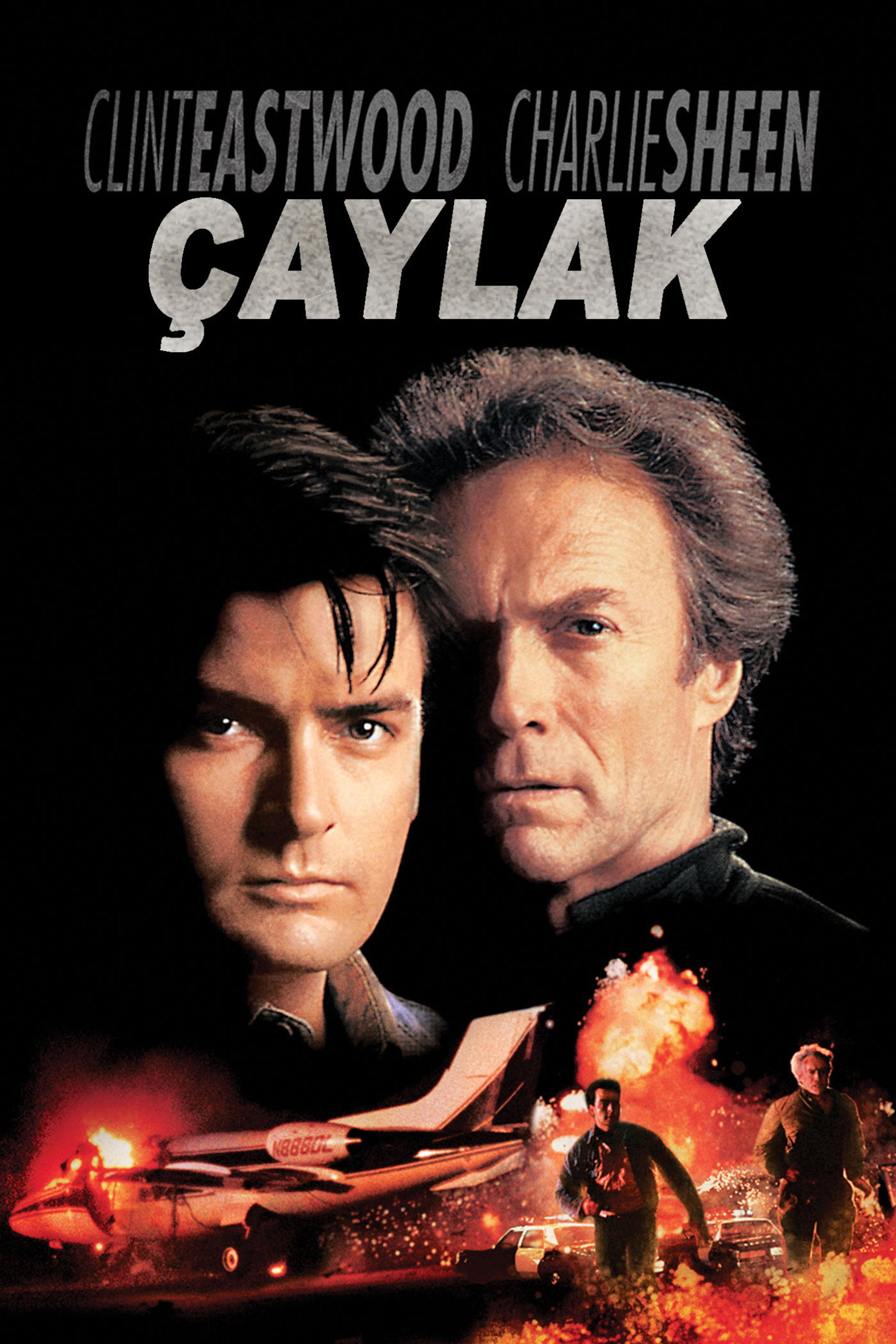 Çaylak