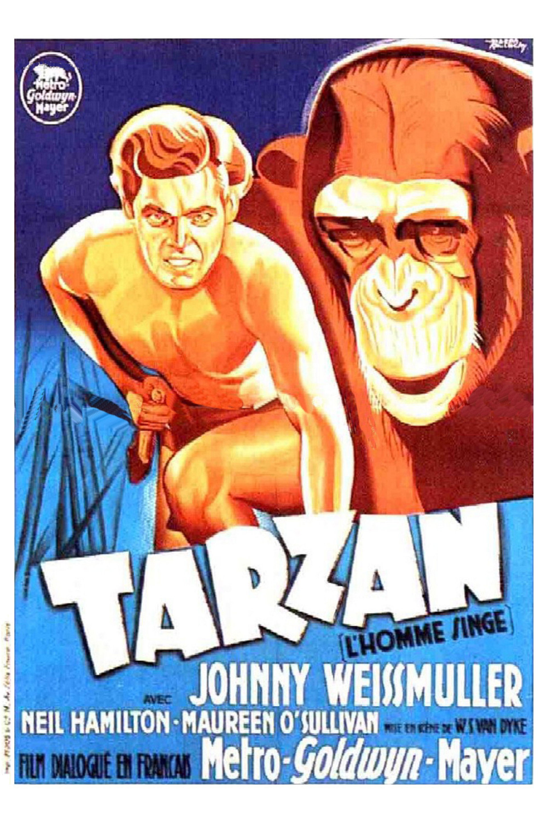 Tarzan, l'homme singe