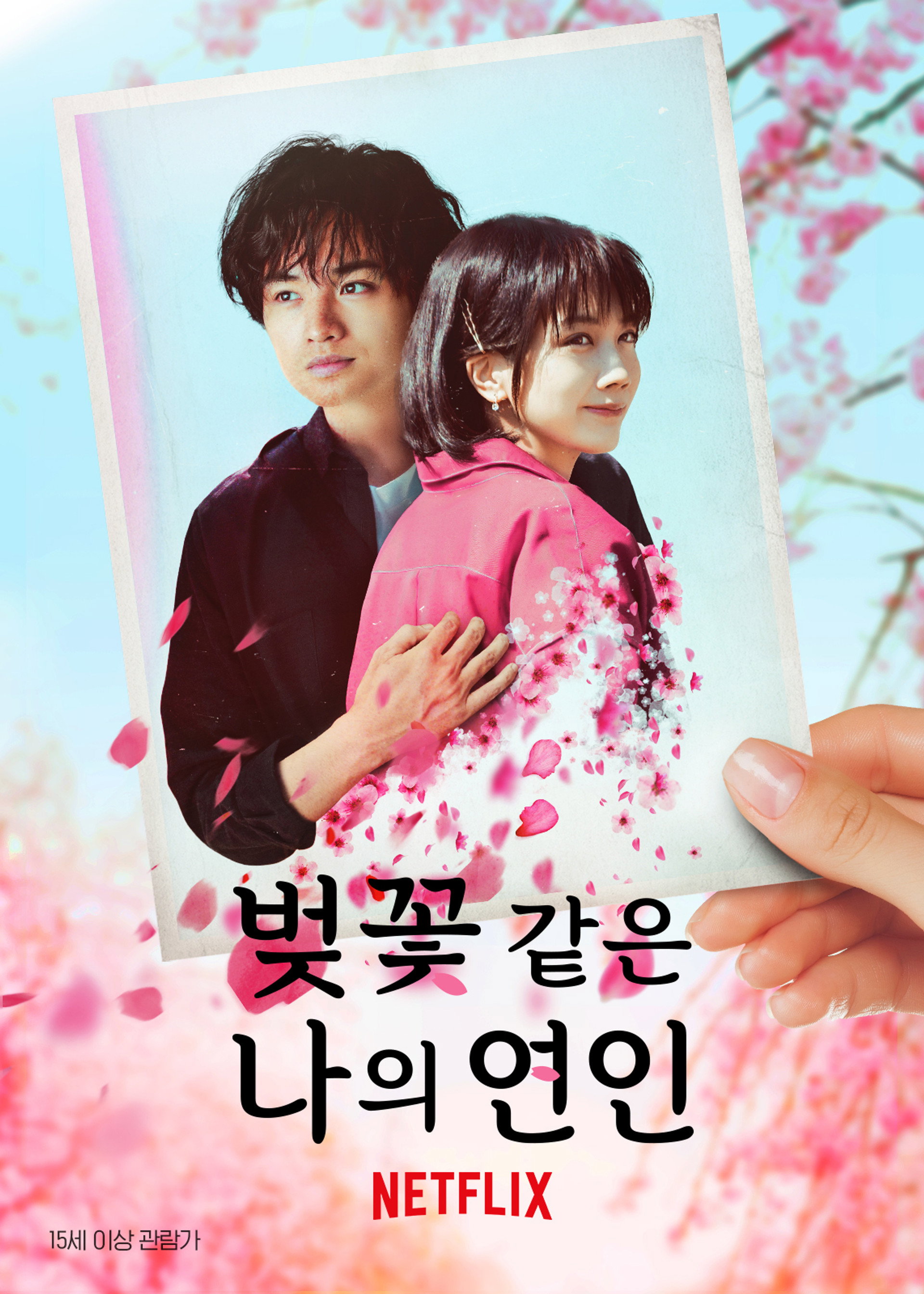벚꽃 같은 나의 연인