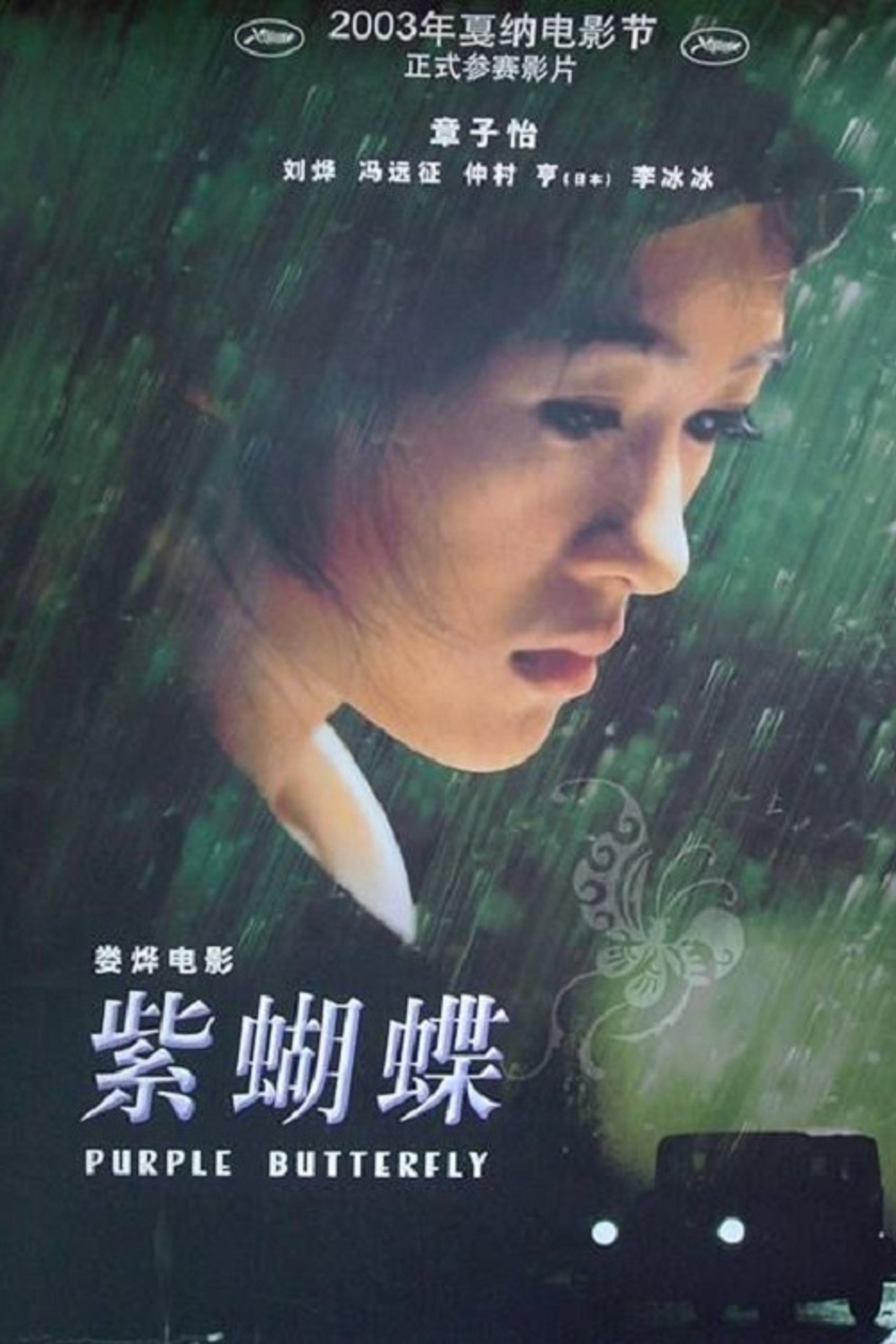 紫蝴蝶