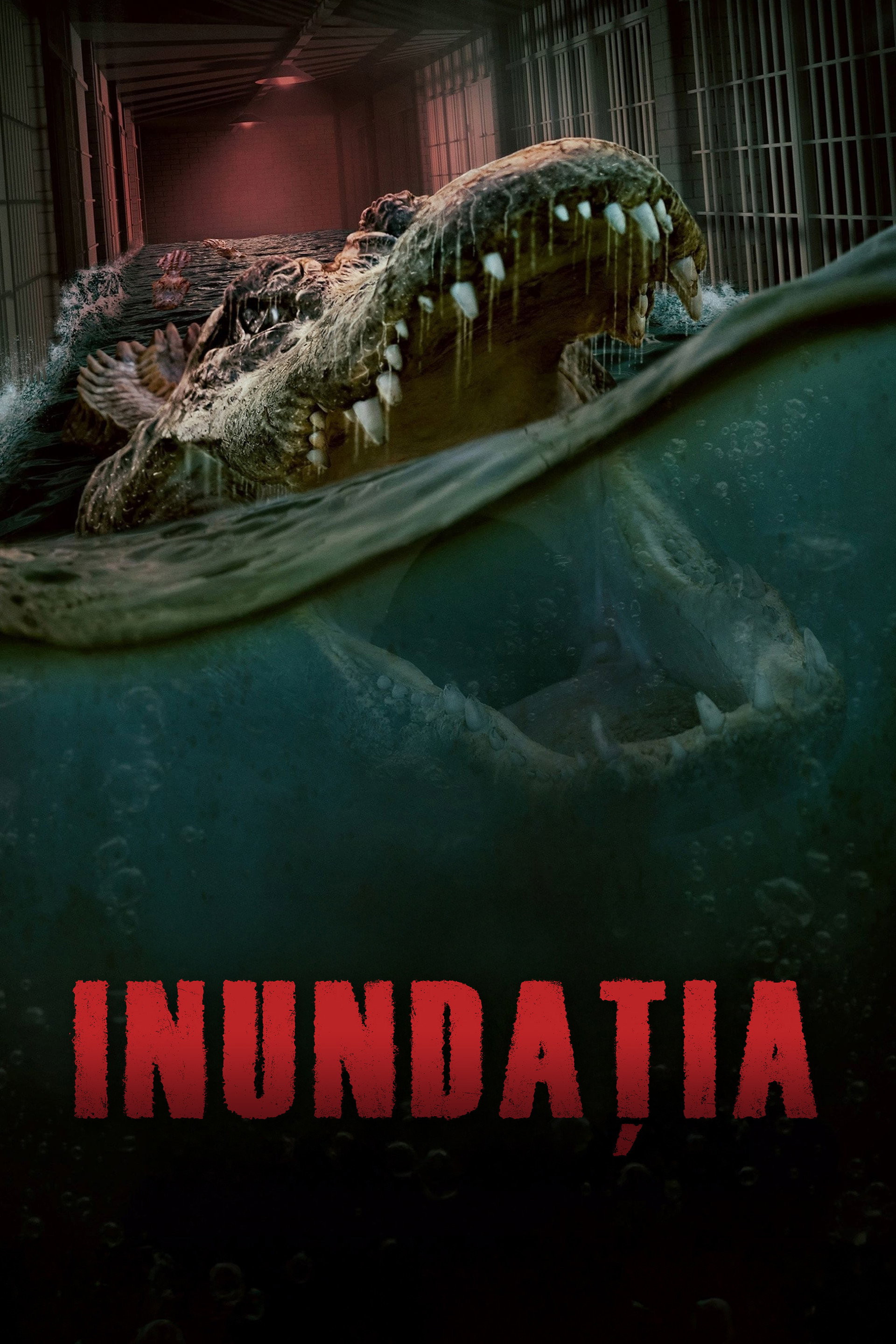 Inundația