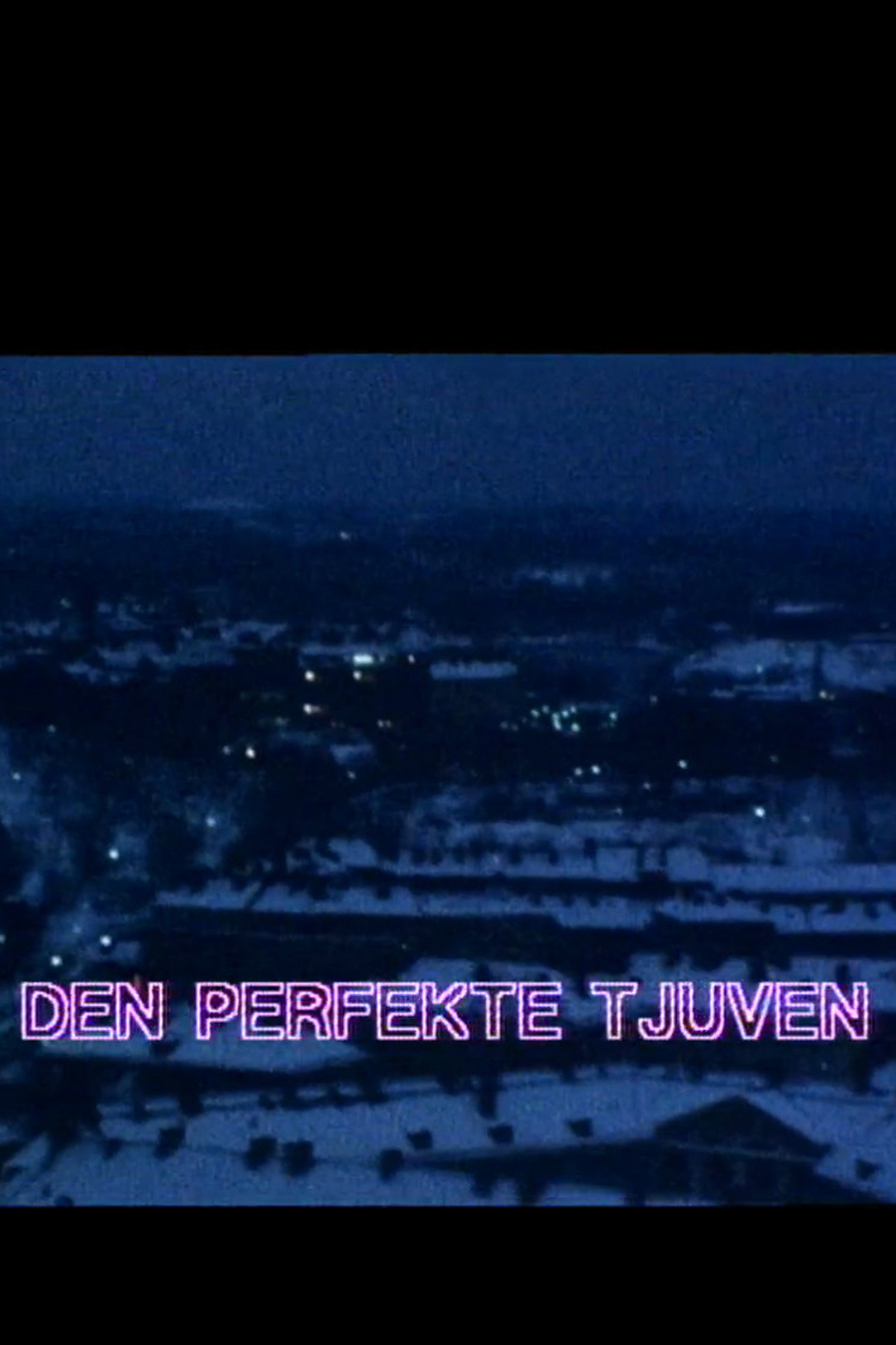Den perfekte tjuven