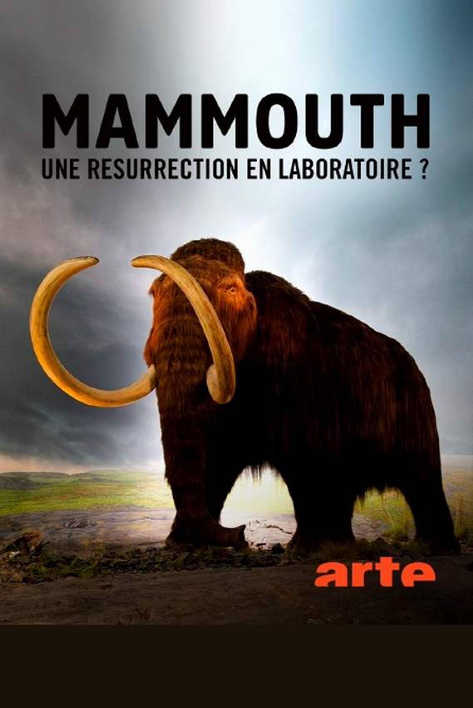 Ein Mammut-Projekt – Wiedergeburt ausgestorbener Arten