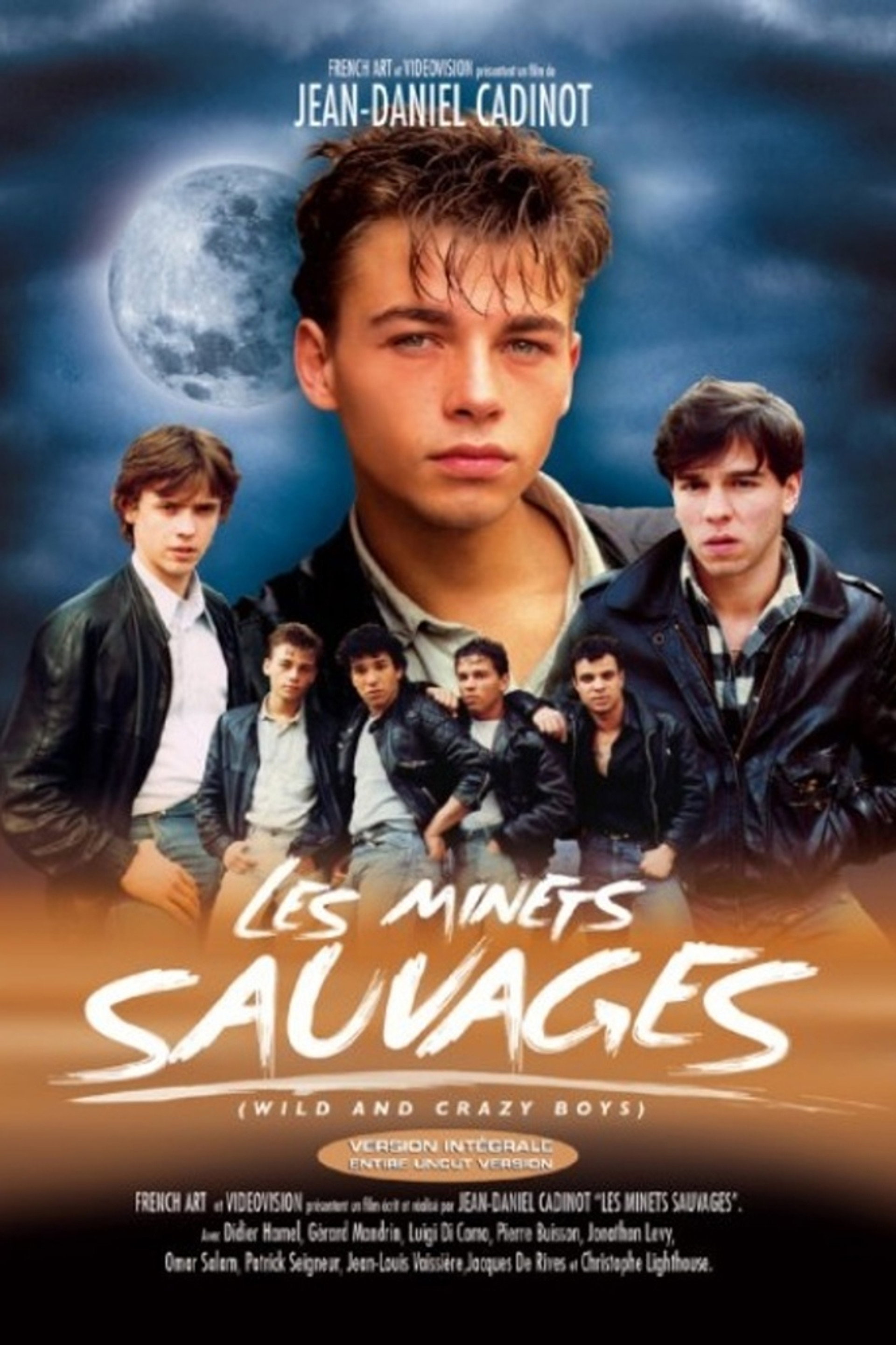 Les minets ... sauvages