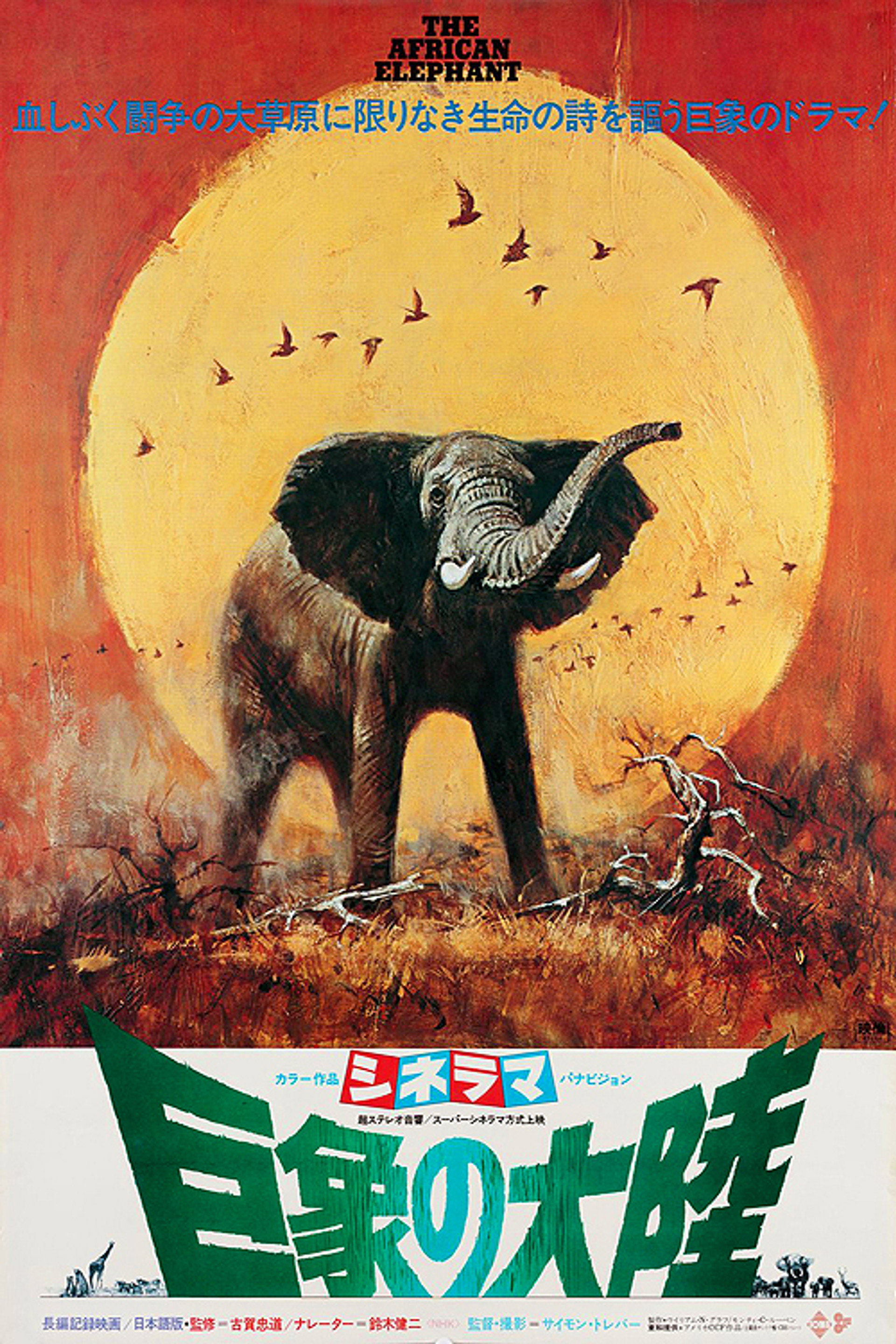 The African Elephant
