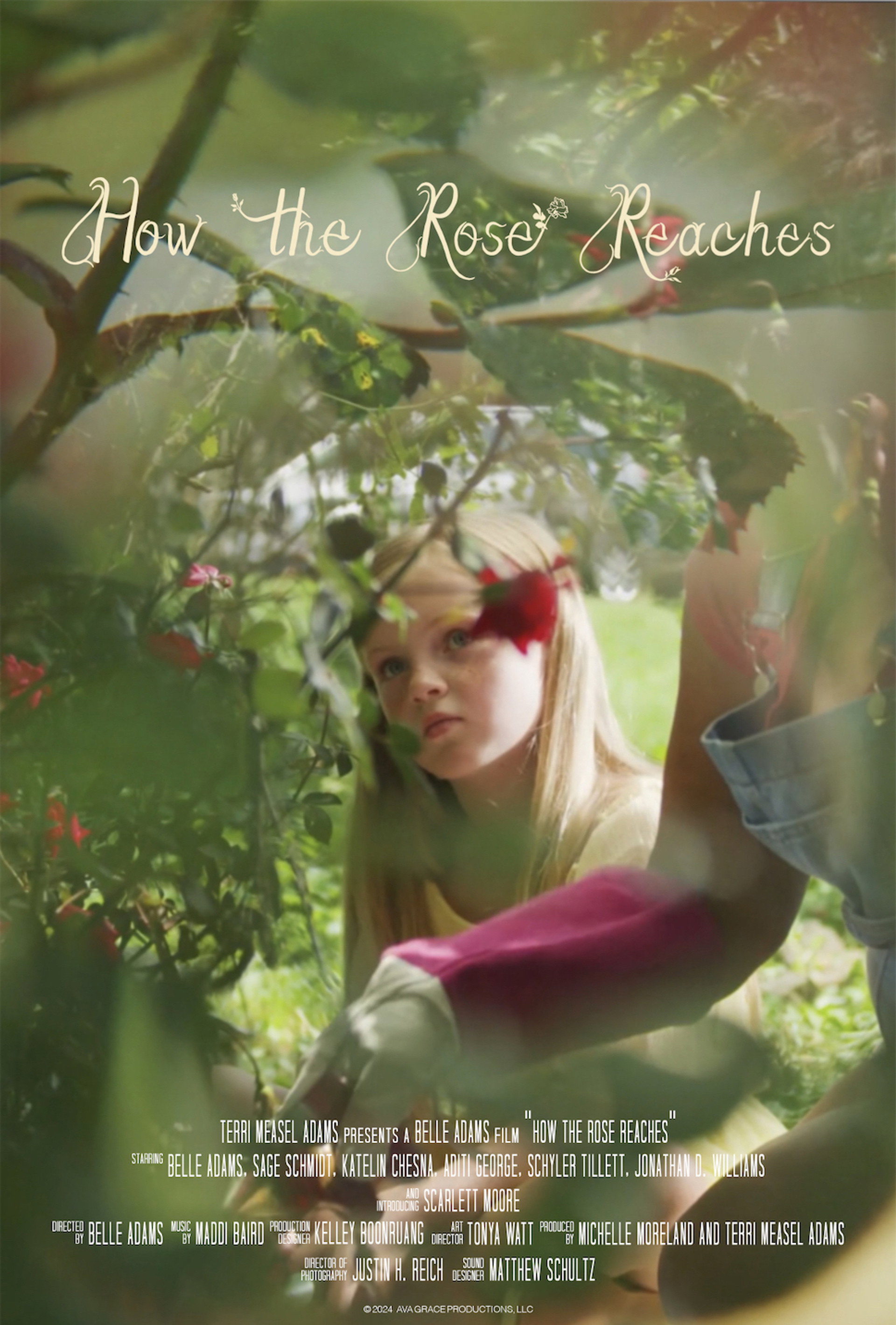 How the Rose Reaches