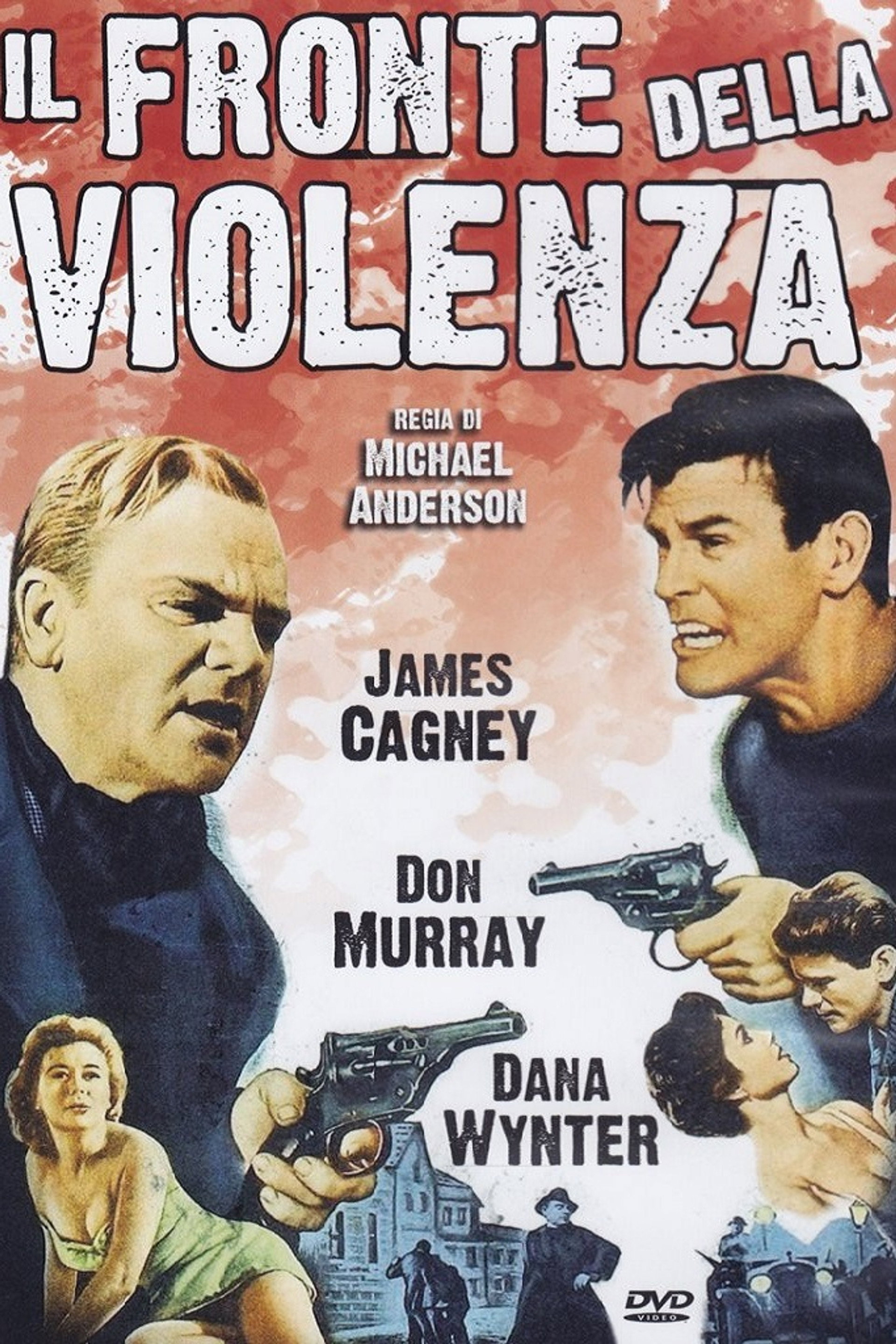 Il fronte della violenza