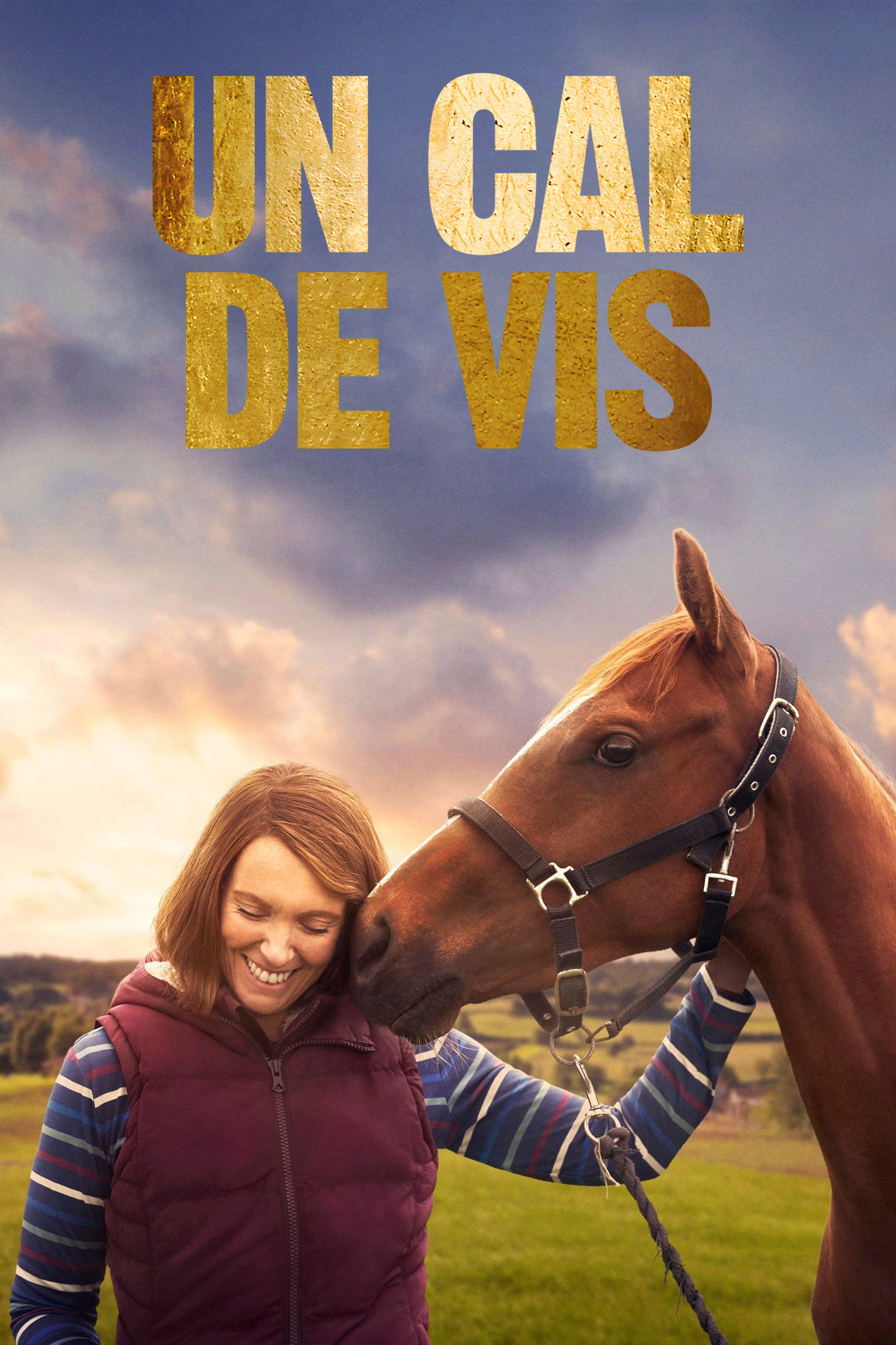Un cal de vis