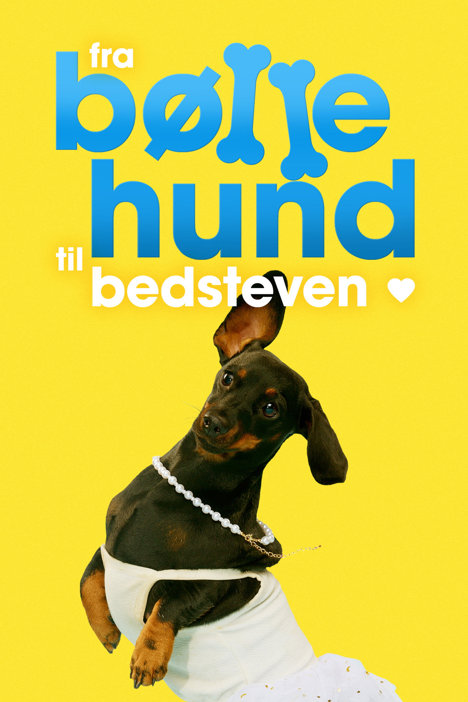 Fra bøllehund til bedsteven