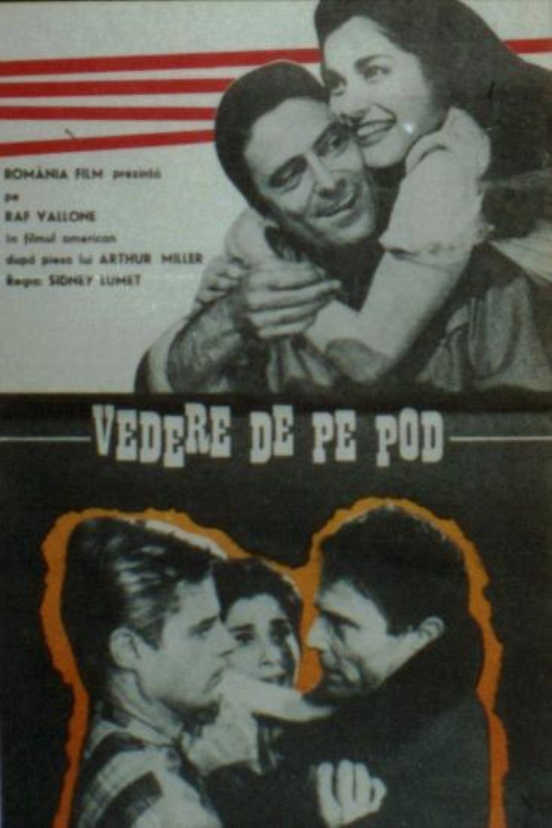 Vedere de pe pod