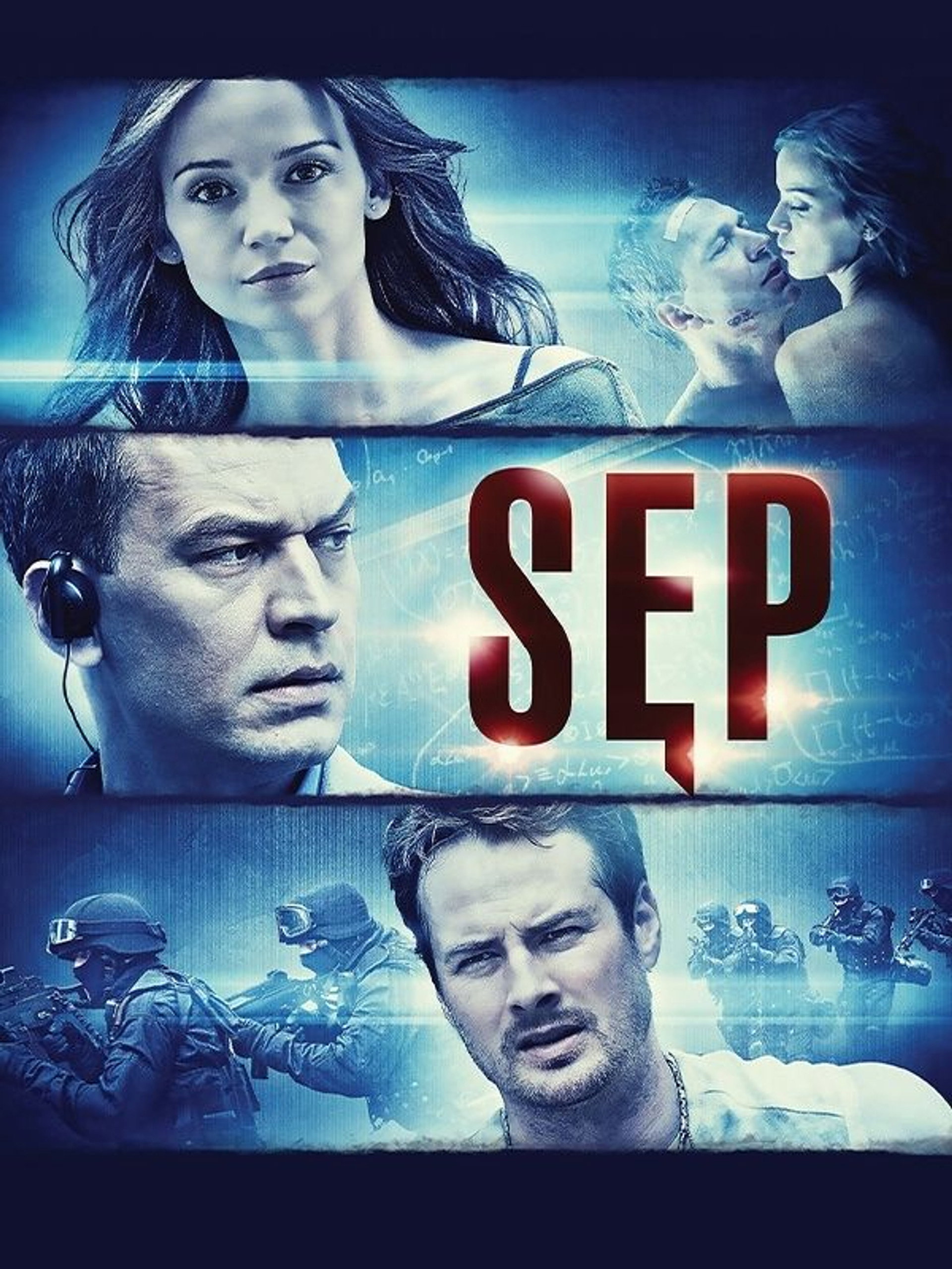 Sęp