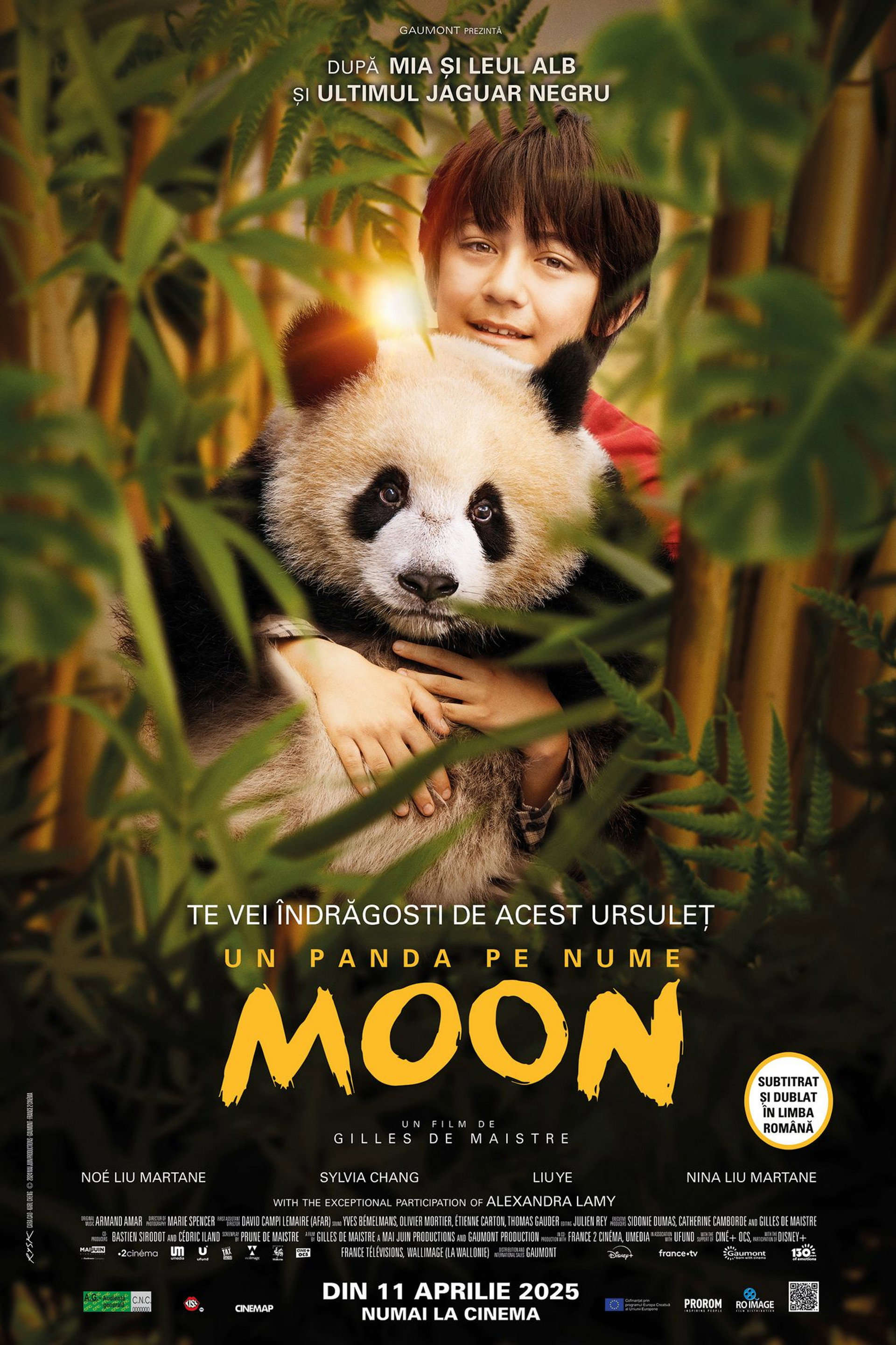 Un panda pe nume Moon