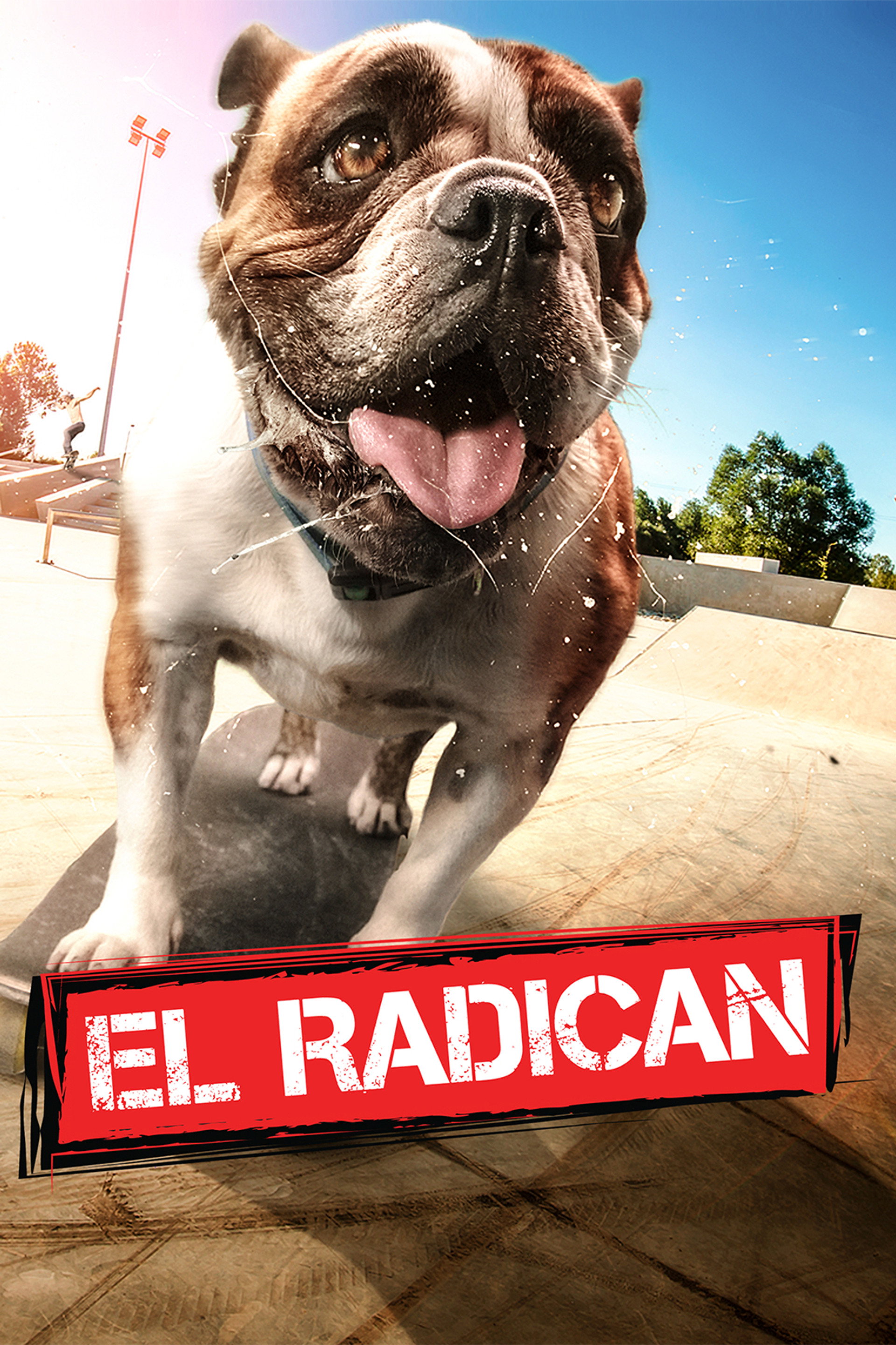 Sk8 Dawg