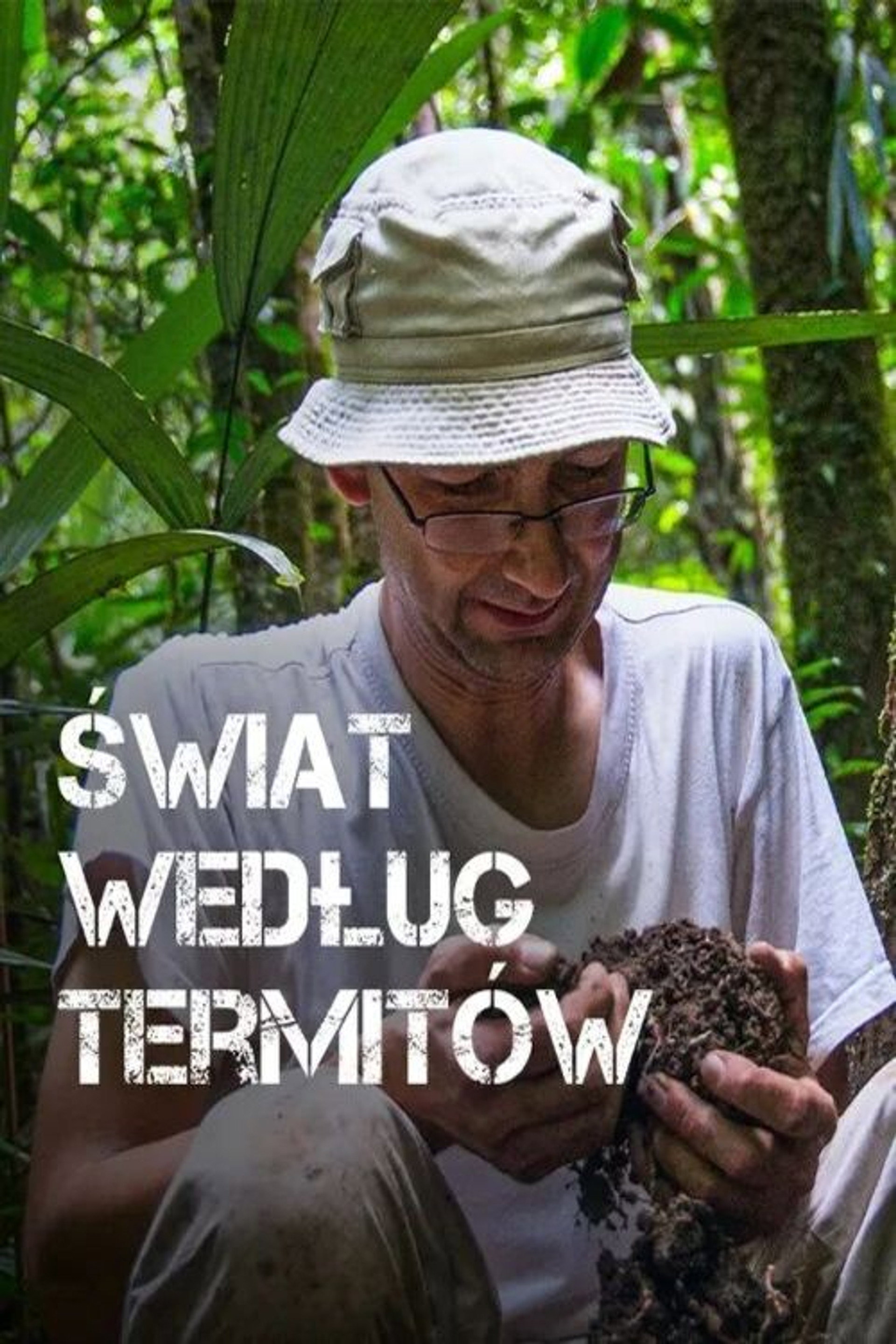Świat według termitów