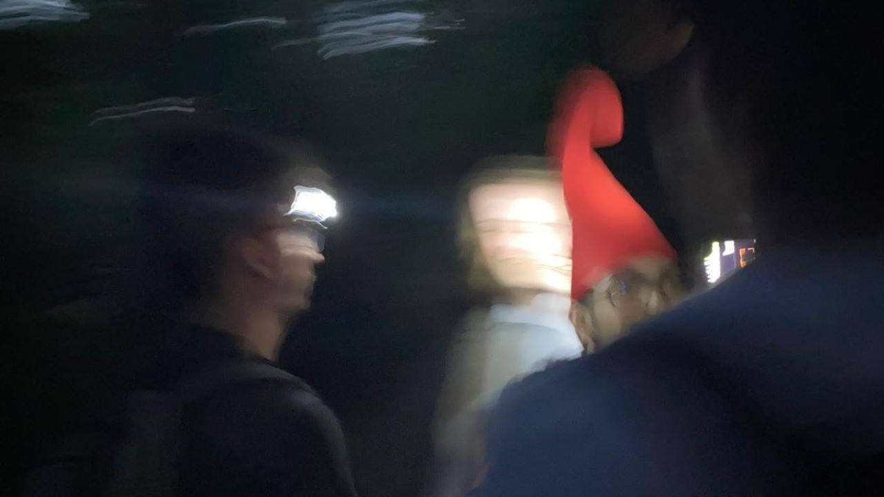 Gnome Hunting Found Footage