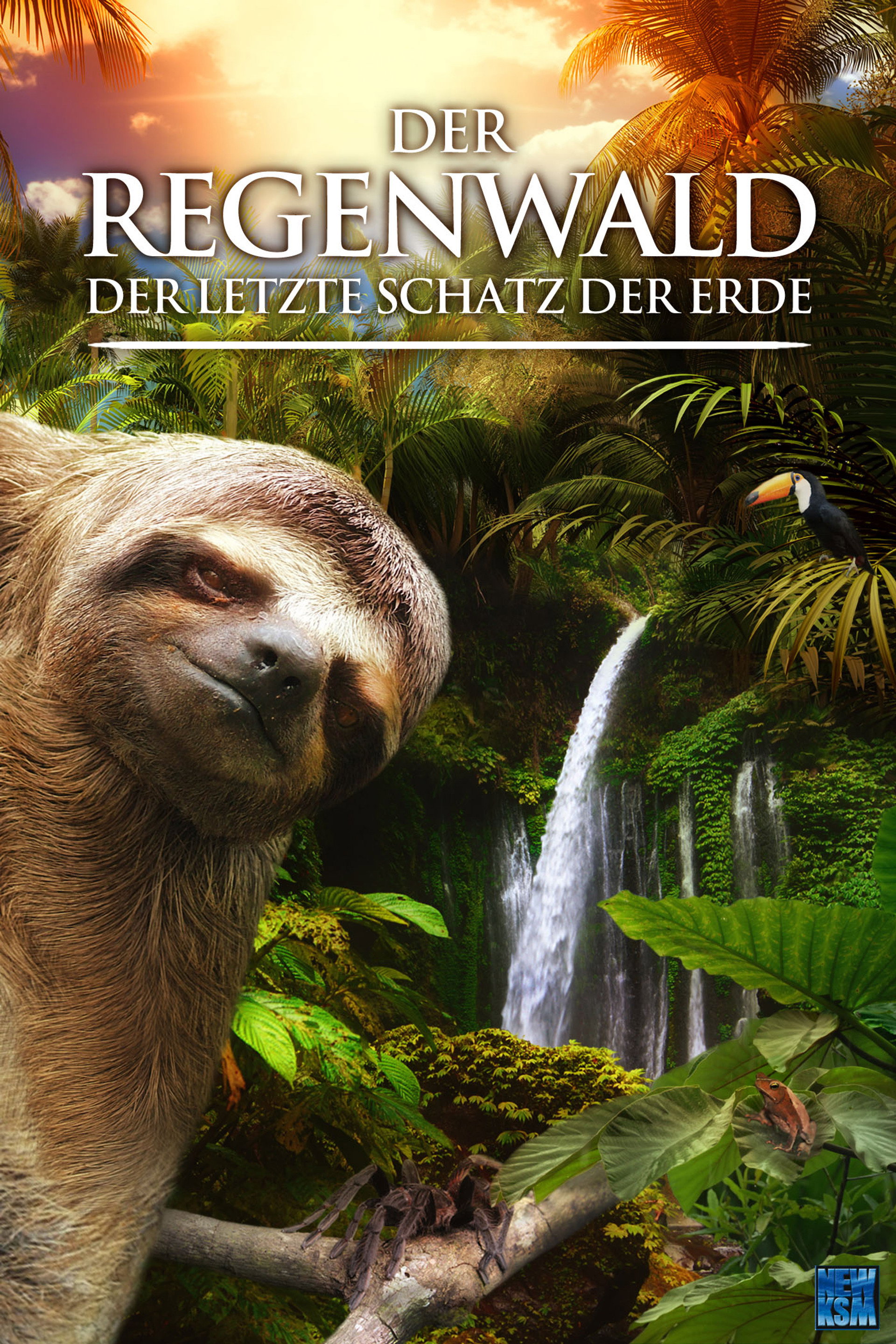 Der Regenwald - Der letzte Schatz der Erde