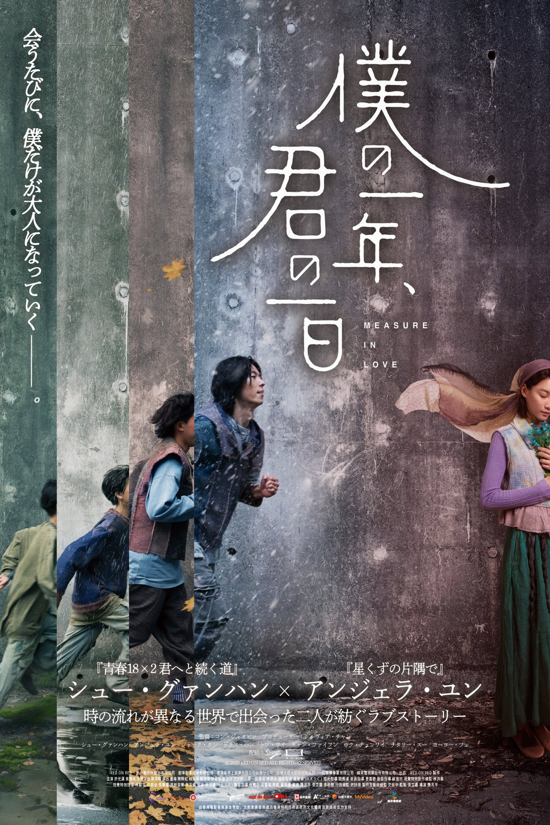 僕の一年、君の一日