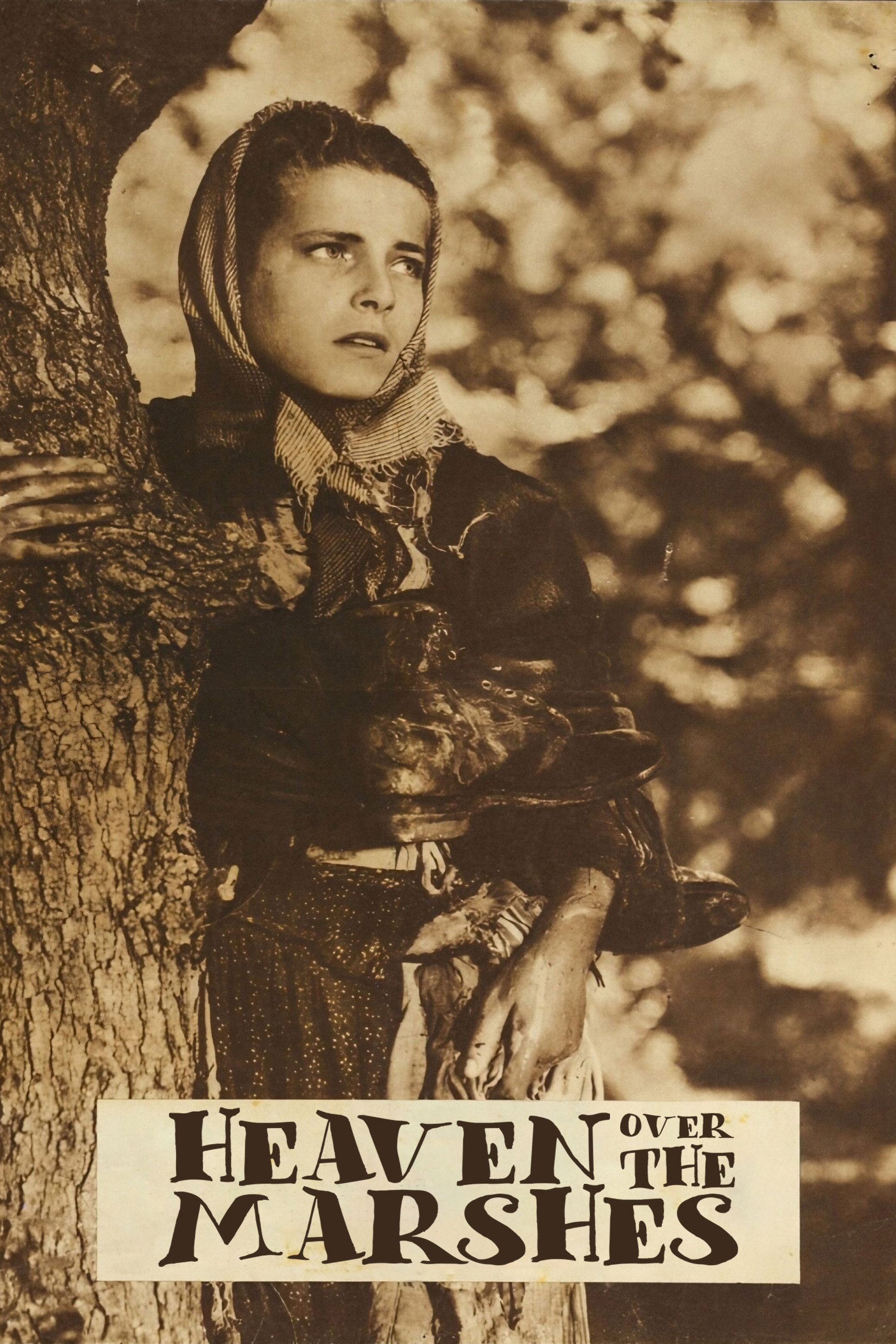 Cielo sulla palude
