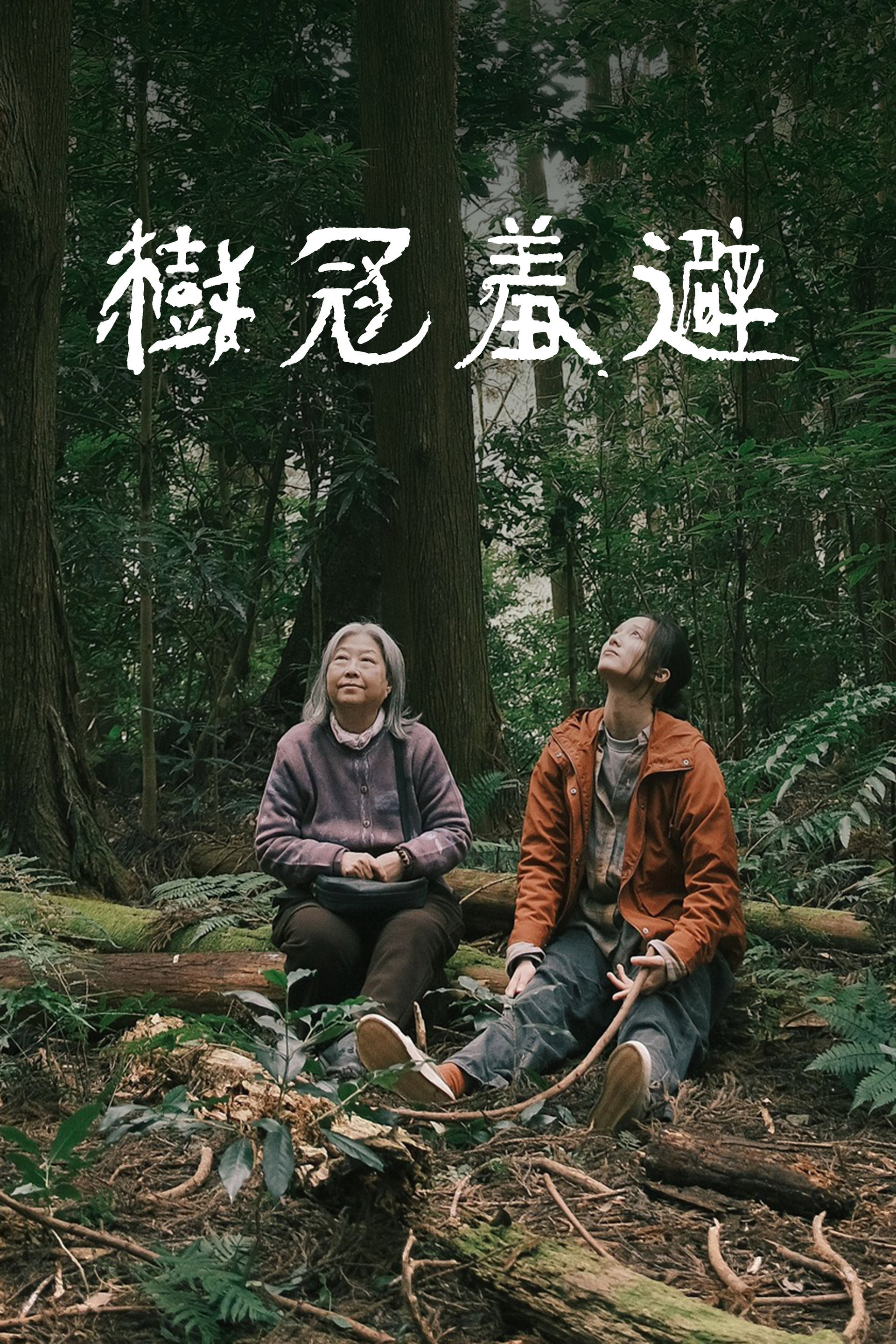 樹冠羞避