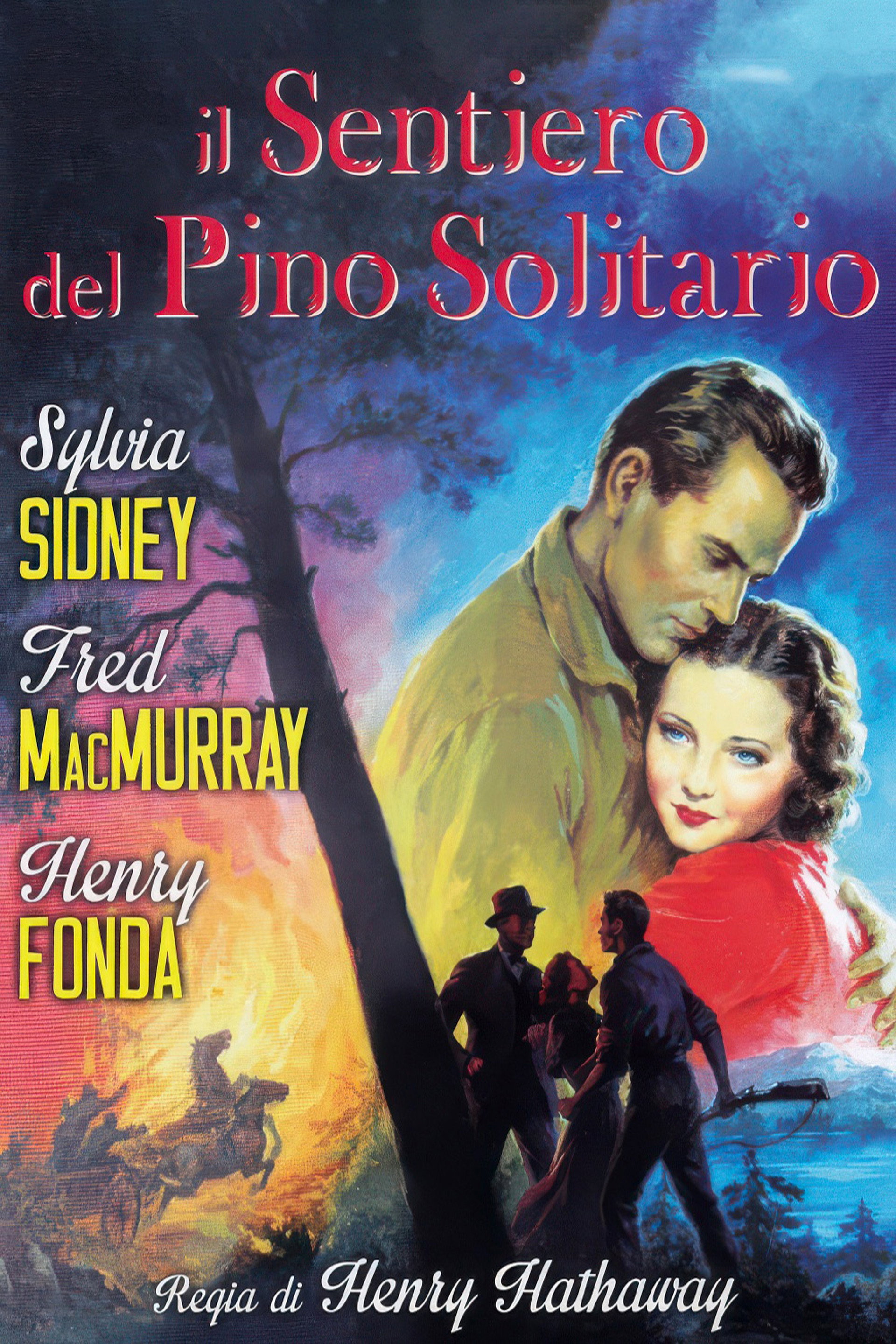 Il sentiero del pino solitario