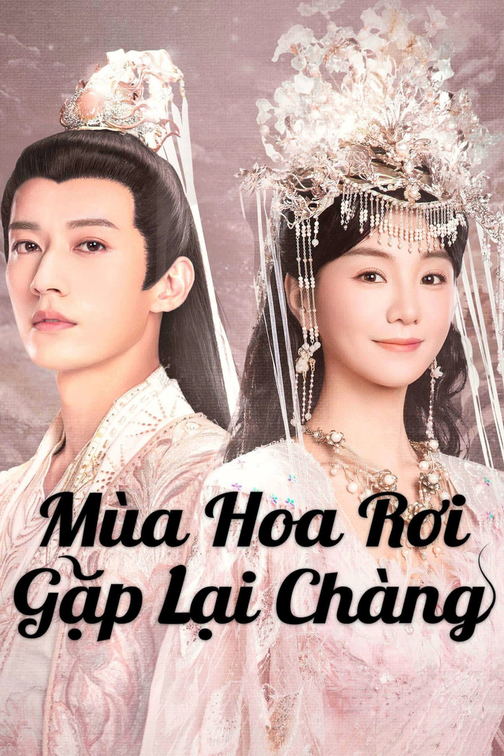 Yêu Không Bao Giờ Thất Bại