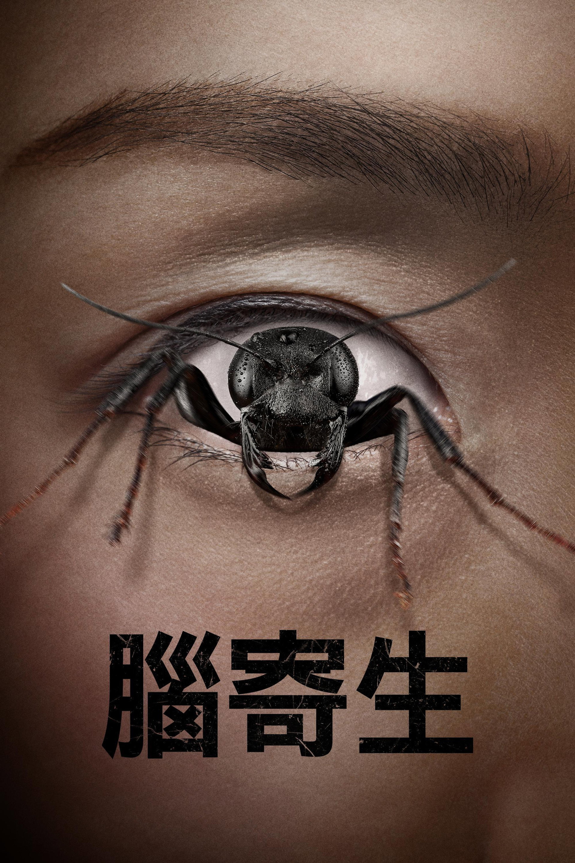 控制狂