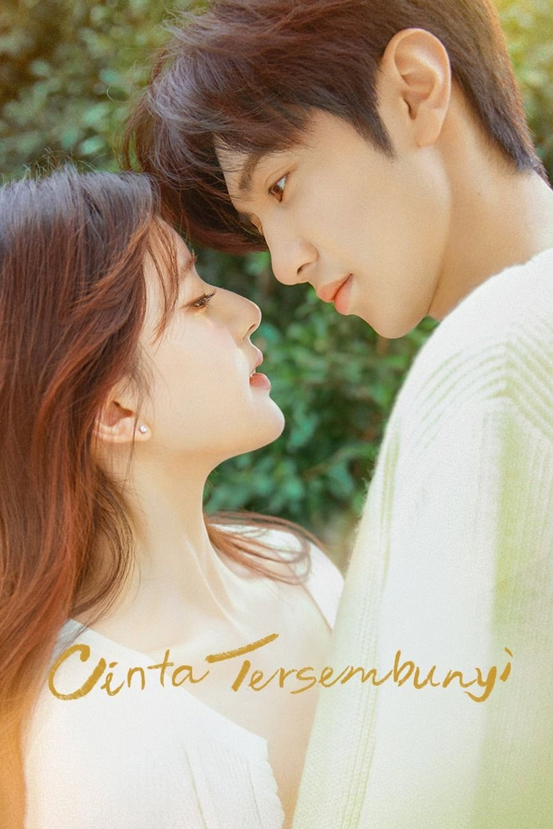 Cinta Tersembunyi